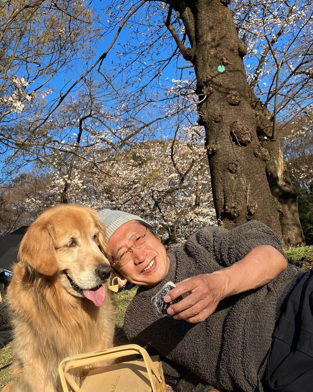 渡辺喜美のインスタグラム：「何年ぶりですか花見🌸🌸🌸孫は🌸よりオニギ」