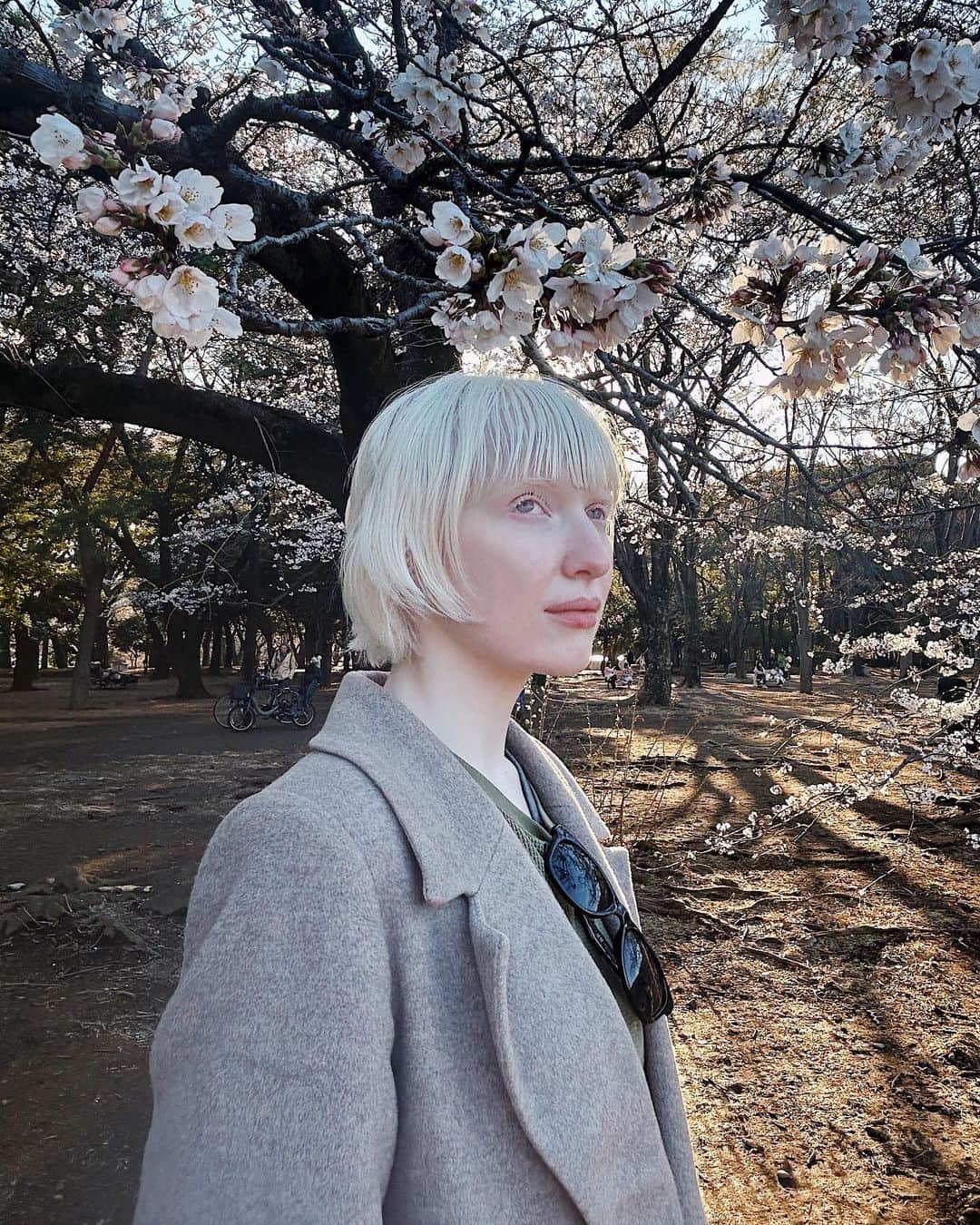 ナスチャのインスタグラム：「桜の色々まとめ🌸💞」