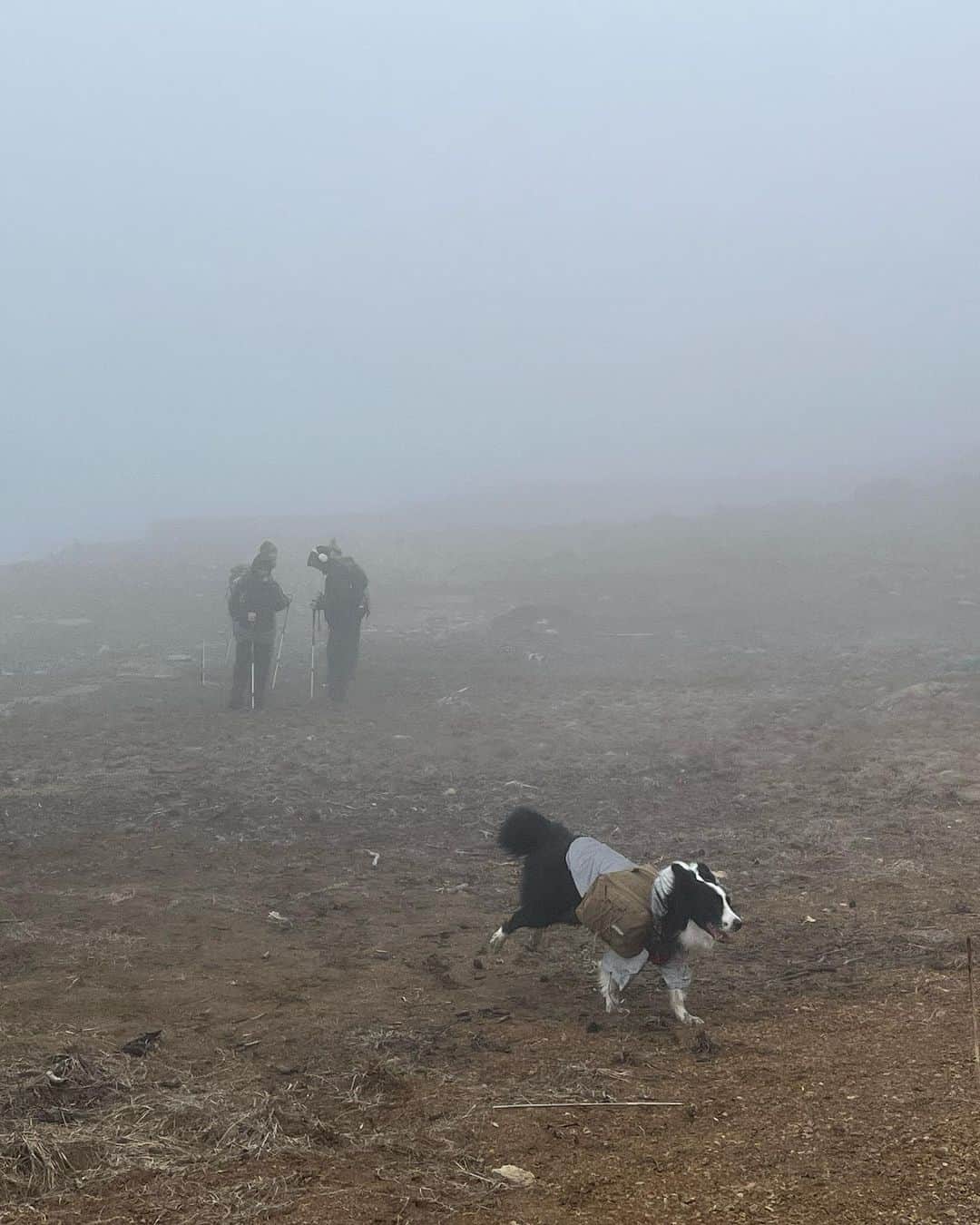 チン・インヒさんのインスタグラム写真 - (チン・インヒInstagram)「🥾#hike #nature 🌍#mountains」3月20日 0時35分 - chininhi