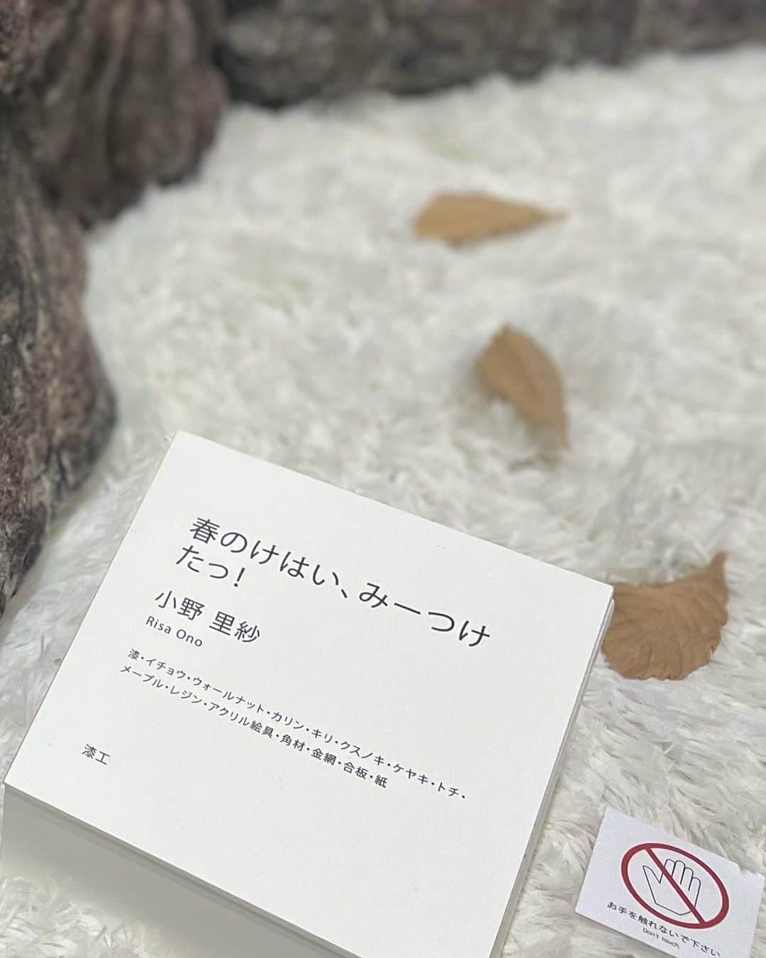 前田彩名さんのインスタグラム写真 - (前田彩名Instagram)「ワコールスタディホール京都で めちゃくちゃ可愛い展示があったので、 その記録☺️  京都市立芸術大学美術学部工芸科の学生さんの作品だそうです。  小野 里紗「春のけはい、みーつけたっ！」  一本の木の中にいろんな動物が共存していて 360度眺めるのが楽しくて可愛い。 こんな風に眠ってくれてたら可愛いんだけどな🐻 絶対に山で会いたくない😂  (話が逸れるけど 広葉樹をもっと山の深い場所に植えてあげたら 山の環境が変わって クマの里山への出没率も下がるんじゃないかって 専門家の人が本に書いてて、 なるほどなと思っていたりします)  ともあれ、可愛いです🌳 全部 木彫りなのかな？ 落ち葉でさえも木のような質感で置かれていて細かい‥！ 南区で初めて開催する「南まちなかアート」の一環だそう。  ワコールスタディホール京都では たくさんの現代アートに触れて 自分の感性が磨かれたなって思います😌 絵を買いたい、という想いを 初めて持てた場所でもありました。  明日で閉館、寂しいです。」3月20日 0時46分 - ayana.maeda