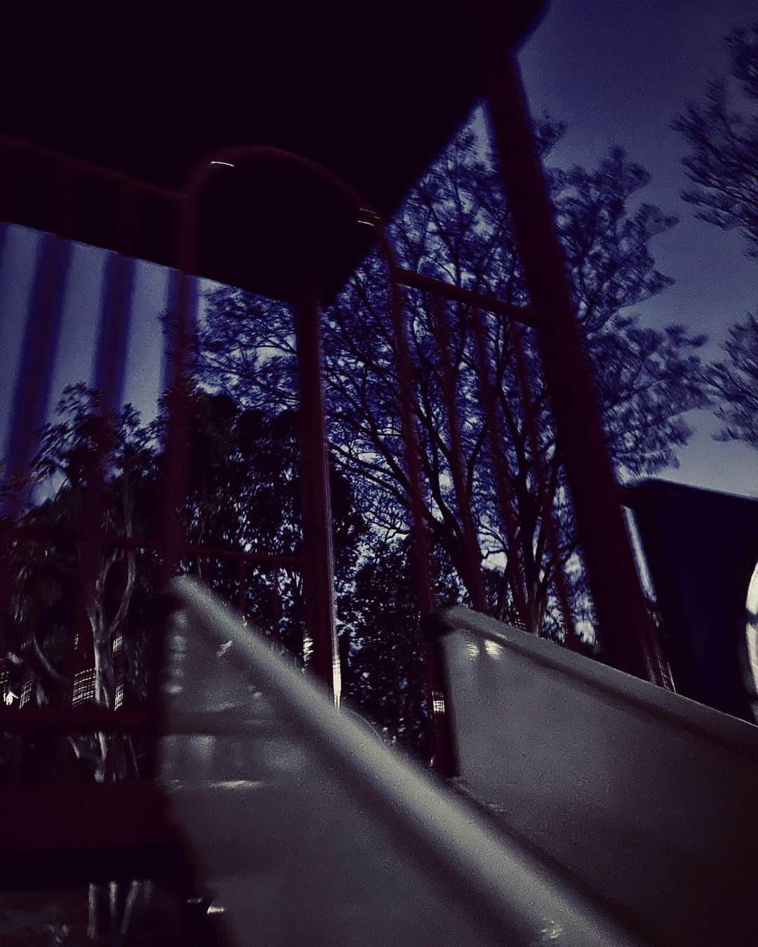 安藤裕子さんのインスタグラム写真 - (安藤裕子Instagram)「久しぶりに父のところに一同集まり 酔っぱらいはカラオケ大会に  娘は人熱に少しぐったり 帰り道子供の頃過ごした公園の夜風にあたる  父はますます伊藤四郎に似ている  #今日の日記」3月20日 1時43分 - yuko_ando