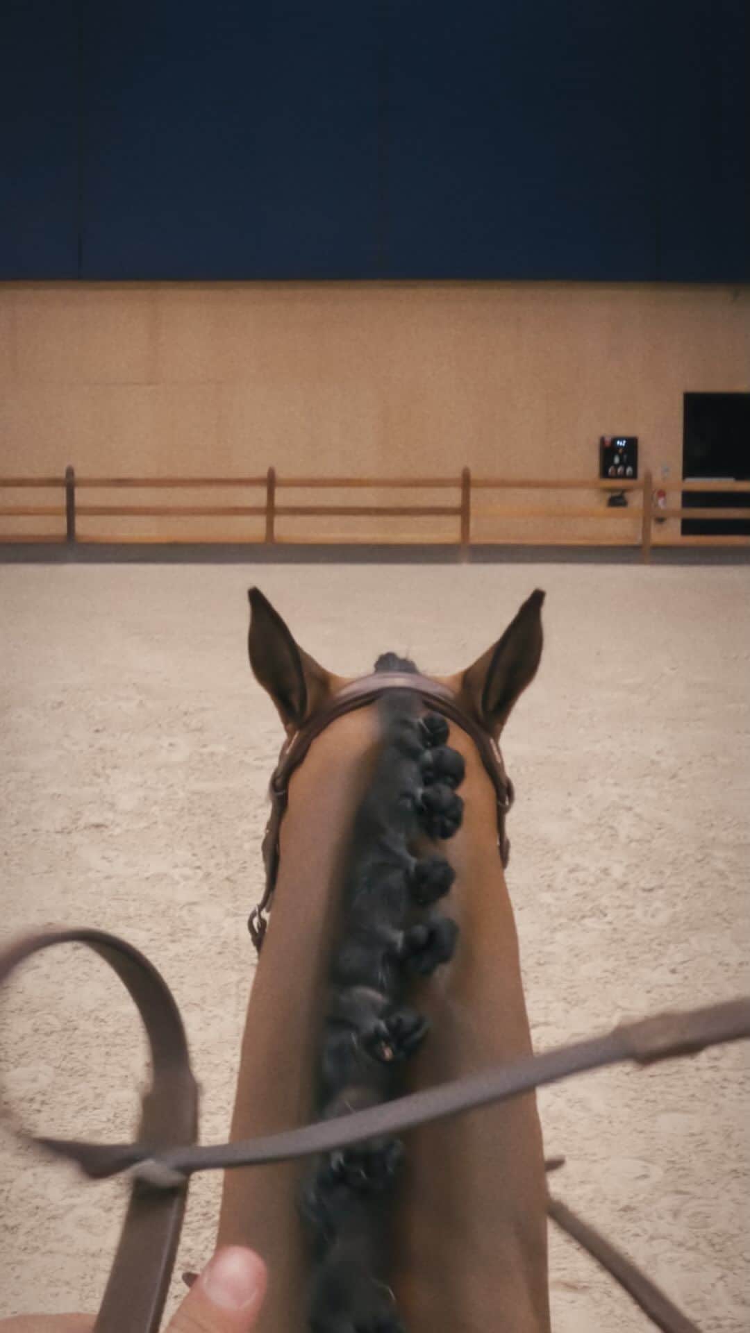 エルメスのインスタグラム：「Sharing the stage 🏇 Relive the international show-jumping competition from a horse and rider’s point of view and open up to new perspectives on equestrian moves.  The Saut Hermès will be back next year for another thrilling international show-jumping competition.  #EquestrianViews #InternationalJumping #SautHermes #HermesSellier #Hermes」