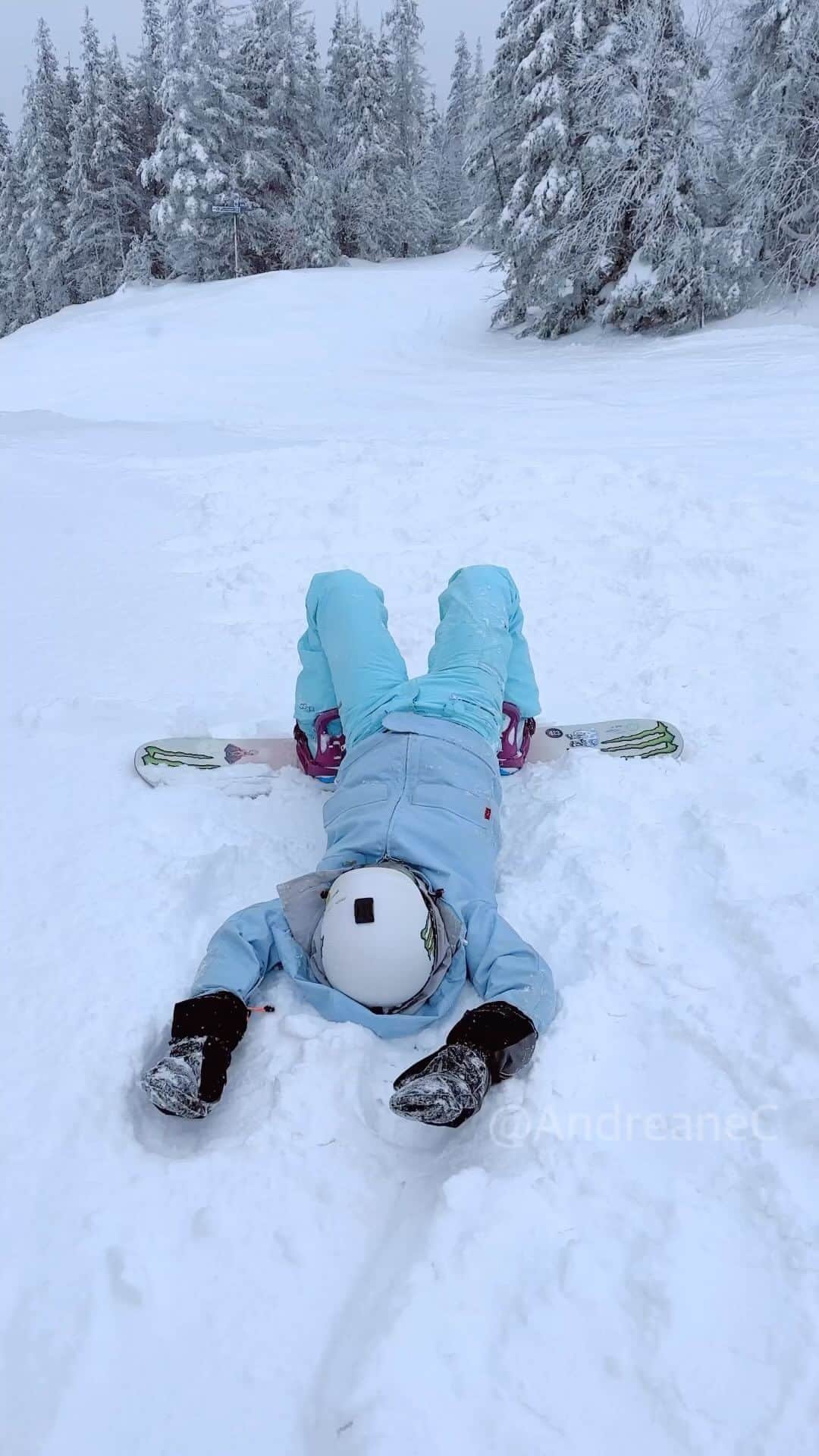 Andreane Chamberlandのインスタグラム：「When my last brain cell is tripping out…」