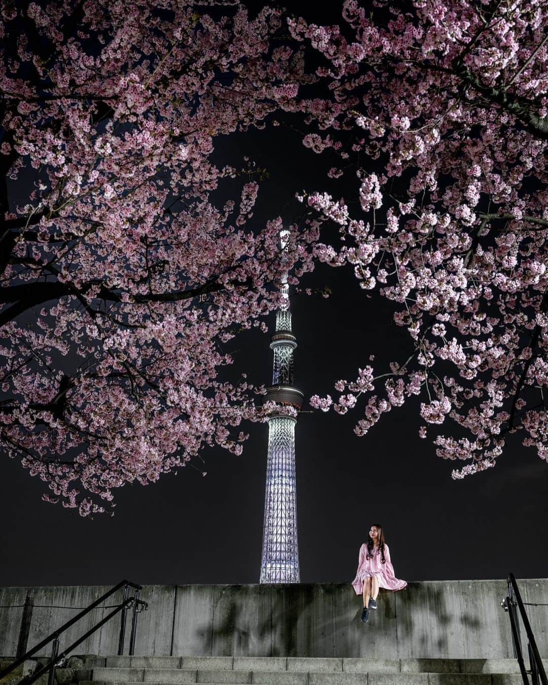 ももせゆきのインスタグラム：「🌸 夜桜×スカイツリー  綺麗すぎて2日連続で見に行ってきました✨ 今日はすごく久しぶりの健康診断に行ってくるから緊張🥲 注射嫌いじゃないけど、前回検診行った時に採血3回失敗されたから、今日は沢山水分摂取して採血しやすい状態にしていこう。採血上手いナースさんでありますように👩‍⚕️  ・ ・ 🌸Photo by @shabon 🌸  🌸 #夜桜 #東京スカイツリー #tokyoskytree  #桜  #河津桜 #お花見 #春旅 #retrip_news  #タビジョ #daily_photo_jpn  #japan_night_view  #TokyoCameraClub #Lovers_Nippon #art_of_japan_  #被写体モデル  #hubsplanet #awesomeearthpix #awesometravel #1x_japan  #IGersJP#ビジョビ  #genic_mag #cherryblossom  #VSCOportrait #pr0ject_soul  #女子旅  #ファインダー越しの私の世界 #写真好きな人と繋がりたい #春コーデ」