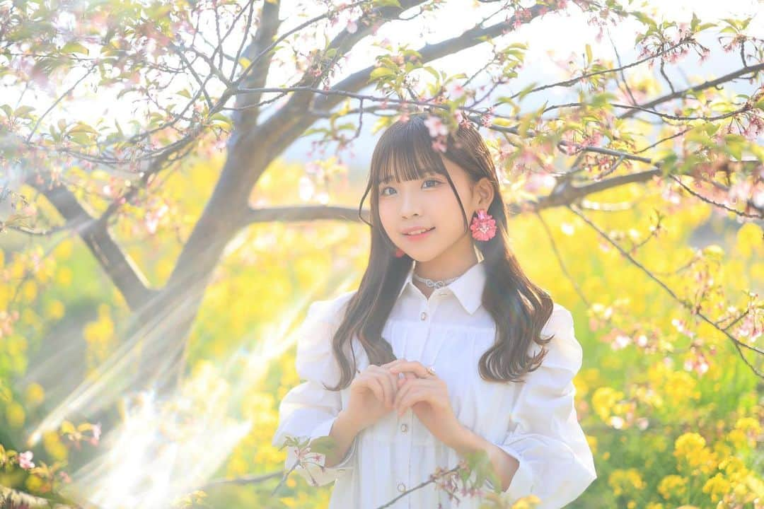 舘林佳史さんのインスタグラム写真 - (舘林佳史Instagram)「菜の花と河津桜と乙羽ちゃん☺️🌼🌸  数々のミスコンでグランプリを受賞👸 歌って踊れるアイドル活動をしている15才の世古乙羽ちゃん🥹✨ @738otoha   私が公式カメラマンをさせて頂いている水川美南ちゃん主催の @minamizukawa  @MissVivianajapan  ミスビビアナジャパンでもグランプリ&ドラマティックフォト賞を受賞😍❣️  バリ可愛かったです♪  ミスビビアナジャパン日本大会グランプリ👸✨ @missvivianajapan   フィリピンで行われた世界大会👸✨ 世界大会準グランプリ❣️  本当におめでとうございます㊗️🎊  是非皆さんイイネフォロー応援よろしくお願いします🤲💓  #missvivianajapan  #水川美南 #ミスコン世界大会 #ミスコン #ミスコングランプリ #天使 #菜の花 #河津桜 #世古乙羽 #ドラマティックフォト #アイドル #世古乙羽 #応援よろしくお願いします」3月16日 7時46分 - tatephotox