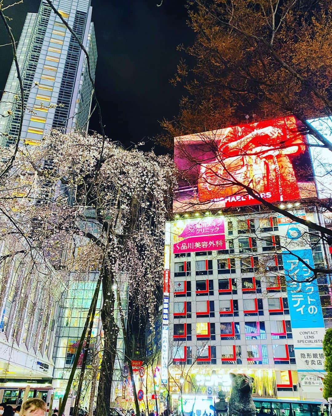 弘田佳孝のインスタグラム：「Shibuya night, 春だなー🌸 #sakura #cherryblossom #shibuya #tokyo」