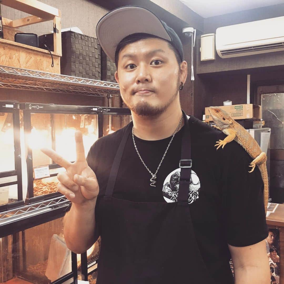 橋本大地のインスタグラム：「本日爬虫類カフェらぷとるは閉店を迎えました。 去年の3月から働き始め、本日までの1年間、途中で役職が店長に変わり爬虫類の知識や店の業務等、とても勉強になった1年間でした。 遊びに来てくれたファンの皆様はじめ仲良くなったお客様、本当にありがとうございました。 see you next time❗️」