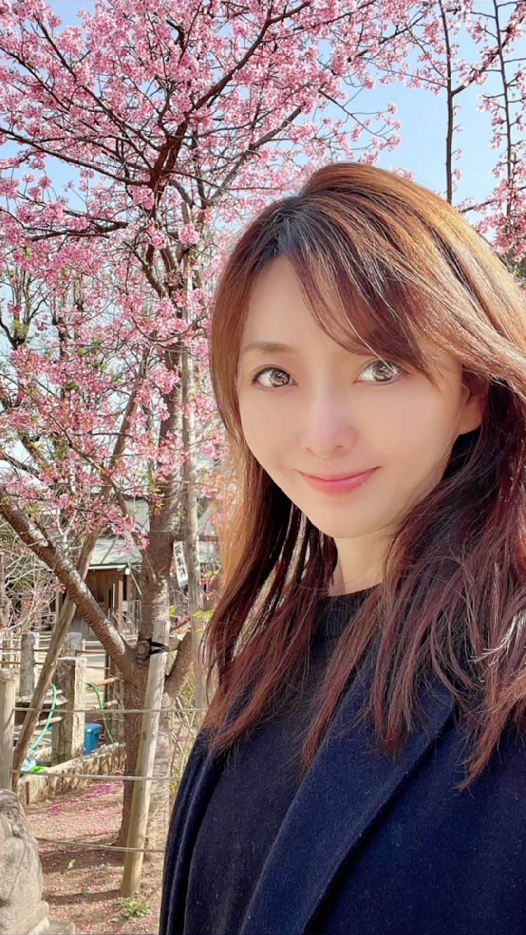 高村凛のインスタグラム：「【八重桜と富士】  代々木の神社🌸  素敵な富士さんがありました☺️  富士山にお参りしました🗻🙏  🌸綺麗だね🌸  #桜 #お花見🌸」