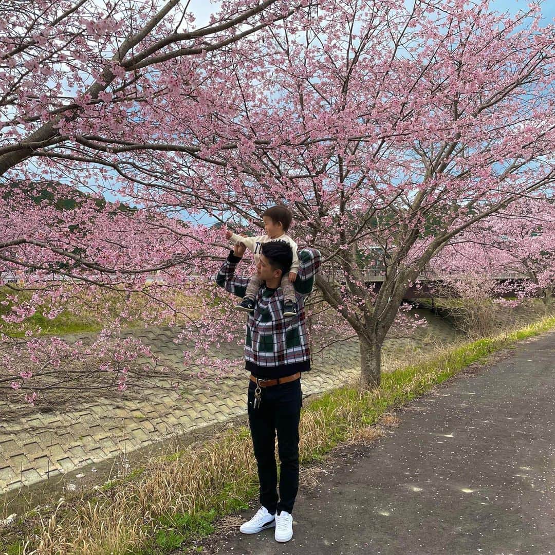 AMIのインスタグラム：「🌸 . しばちゃん牧場向かってる途中に 見つけた桜並木👀🌳今年初桜🌸 家族で見れて良かった😌🫰🏻 だいすきなパパと📸👶🏻❤︎👨🏻可愛い！！ . #桜並木 #河津桜 #パパと息子」