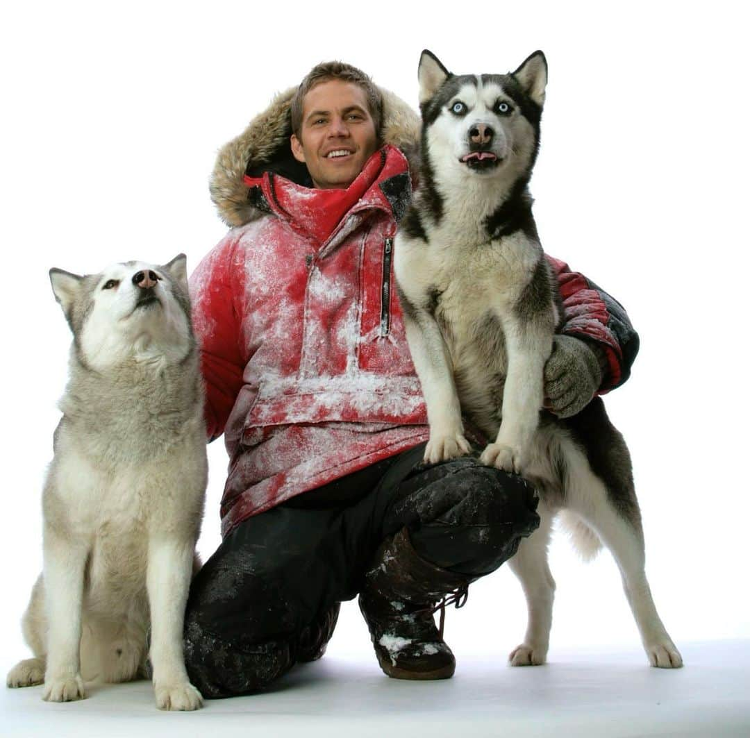 ポール・ウォーカーのインスタグラム：「“These dogs are my family.” - Jerry Shepard #EightBelow #TeamPW」