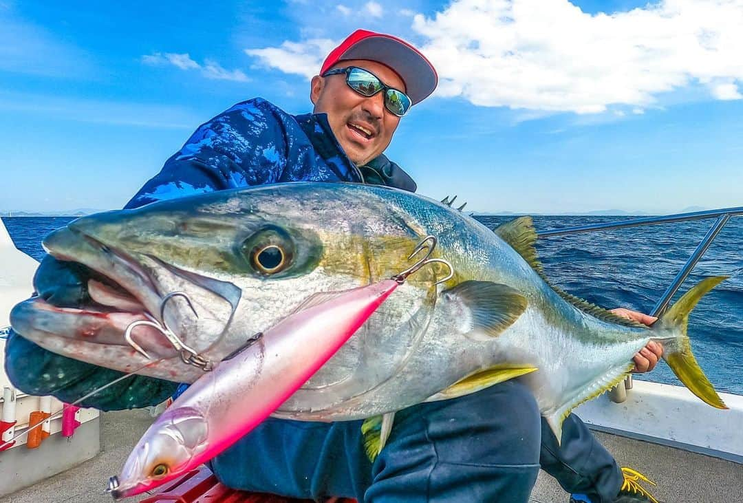 秦拓馬のインスタグラム：「ツンのあとのデレが過ぎる  魚にはツボがある  そこにぴったりハマると…  何回目かのヒラマサチャレンジ  なんと単日１５発  今はただ　身体中が痛い  その痛みが気持ち良い  どうやらダウズジャーク  最強のフィッシュマグネットなのかも  #秦拓馬 #hatatakuma #jackall #ダウズジャーク #遊漁船セブン #fishmagnet」