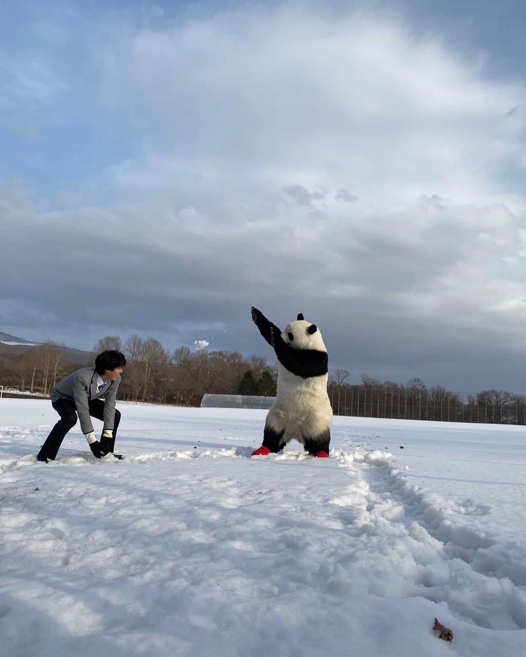 星星（セイセイ）さんのインスタグラム写真 - (星星（セイセイ）Instagram)「❄️⛄️🌸🐼 #雪遊び #卒業おめでとう🌸 . みんなの卒業を祝って、 舜太と雪遊びした時の思い出❄️🌸 #ちべたかった #全力投球  #星星 #パンダ #panda #pandagram #パンダ好きな人と繋がりたい」3月16日 16時28分 - seisei_panda