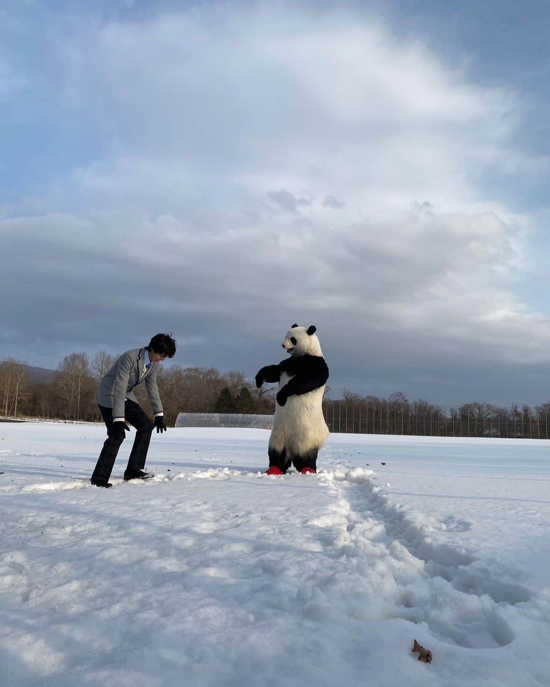 星星（セイセイ）さんのインスタグラム写真 - (星星（セイセイ）Instagram)「❄️⛄️🌸🐼 #雪遊び #卒業おめでとう🌸 . みんなの卒業を祝って、 舜太と雪遊びした時の思い出❄️🌸 #ちべたかった #全力投球  #星星 #パンダ #panda #pandagram #パンダ好きな人と繋がりたい」3月16日 16時28分 - seisei_panda