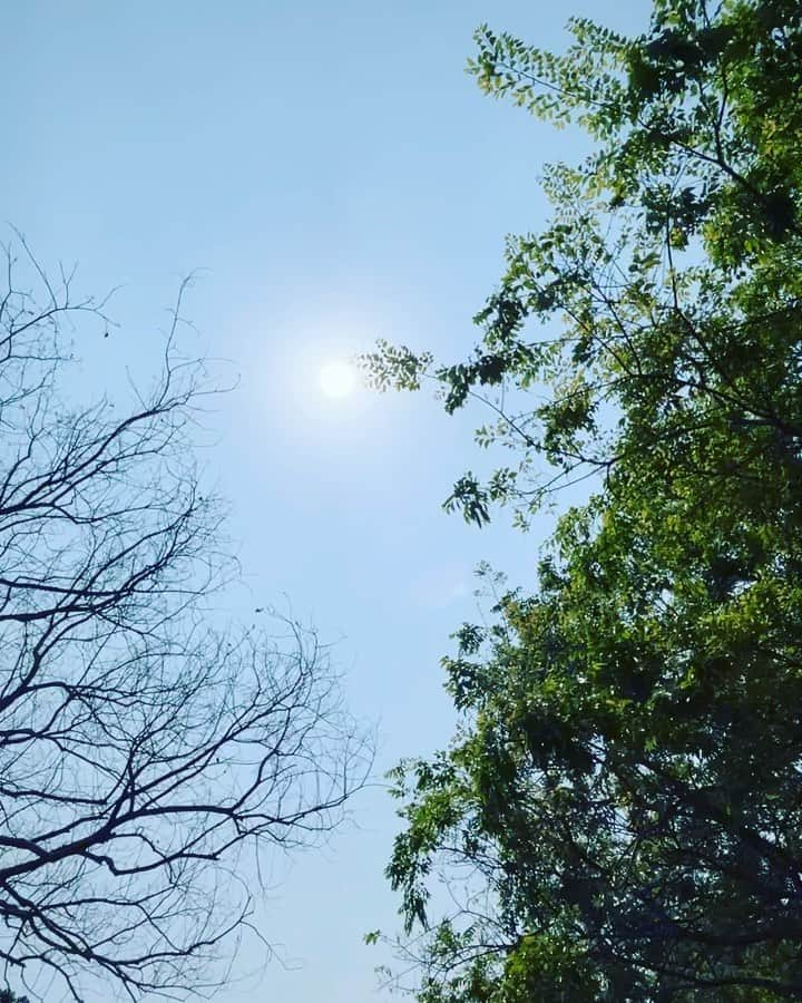 ヒビ・ティエンのインスタグラム：「👋🏻❤️🐶☀️✨🌿🫧  在我最喜歡春暖花開的三月，風和日麗的早晨，全家一起和狗狗道別了。  中午家人在大樹下午餐，和煦的陽光灑落，光影隨著太陽移動，舒適的春風捎來又走，冬日的空枝冒出新芽嫩葉，鳥兒在樹上此起彼落地歌唱，凡事來來去去，皆不留。  謝謝狗狗淑女、黏人、可愛、撒嬌的模樣，為我們的生命帶來快樂和甜美。  最要感謝爸媽，在我瘋狂飛行奔波工作的那些日子裡全力支援，寵溺孫女般的愛護，甚至後段病期極其耐心的照顧。  謝謝妳成為我的家人，我的家人都是最棒、最可愛的！ 親愛的狗兒芭莉狗，再見了。」