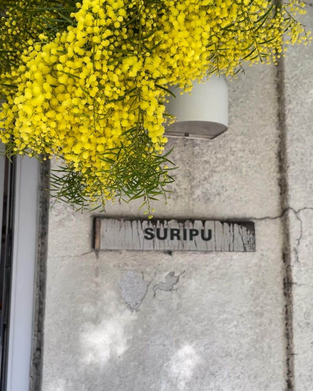 minari_224のグルメインスタ