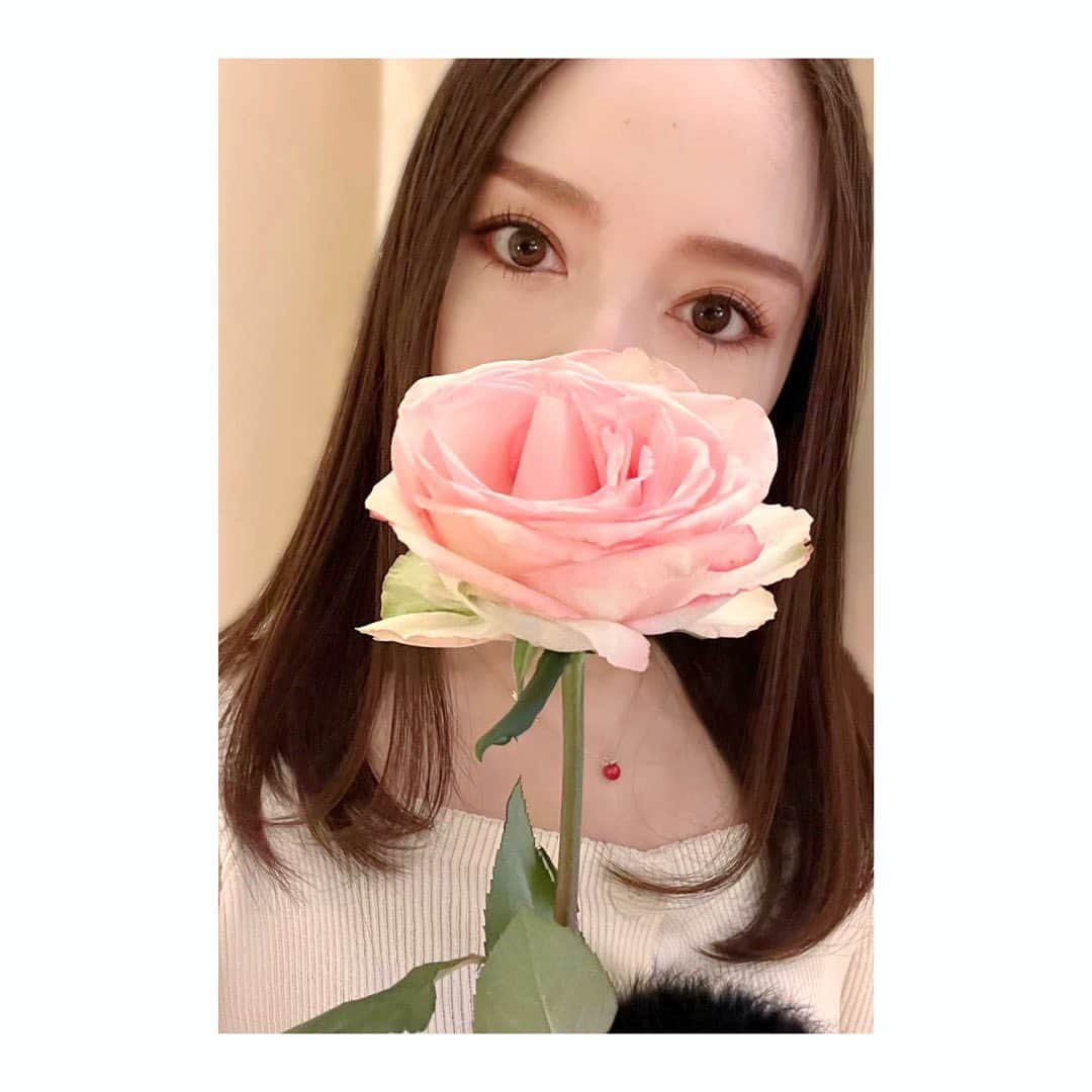 宮本笑里のインスタグラム：「花粉どうにもならない🤧（お花は大好き） ◯ブタクサの花粉症で要注意の食べ物は、 メロン、スイカなどウリ科の果物。  見事に当たっているのです。  以前、胡瓜を食べた時に 瞼がパンパンに腫れあがったときは 恐怖でした😭  花粉症の皆さまも、ご自愛くださいね。  #花粉症　 #声帯炎 #アレルギー」