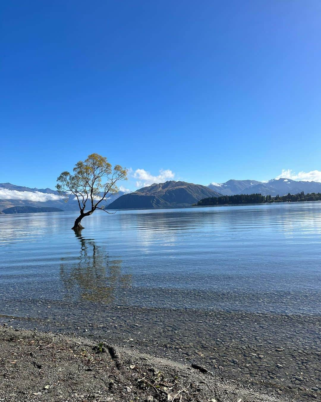 サラ・マイアーさんのインスタグラム写真 - (サラ・マイアーInstagram)「New Zealand 🇳🇿 week 5 🌿🌳💜🥑🐧   Spent some amazing days in Wanaka and Queenstown before heading north again. Next stop: Christchurch.  #travelling #travellingtheworld #travellingnewzealand #travellingwithkids #wanaka #queenstown #southisland #nofilter」3月16日 17時17分 - sarah.van.berkel