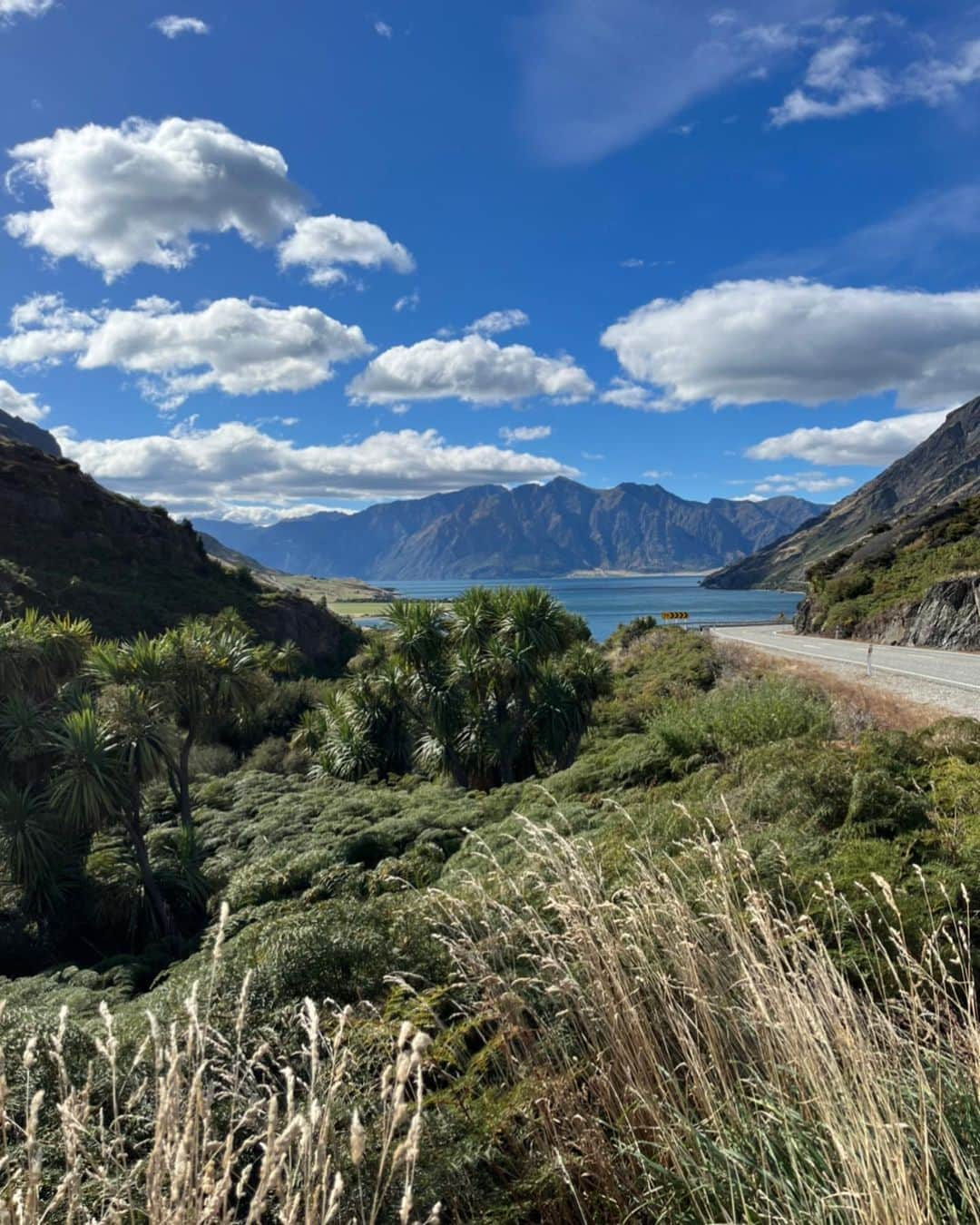 サラ・マイアーさんのインスタグラム写真 - (サラ・マイアーInstagram)「New Zealand 🇳🇿 week 5 🌿🌳💜🥑🐧   Spent some amazing days in Wanaka and Queenstown before heading north again. Next stop: Christchurch.  #travelling #travellingtheworld #travellingnewzealand #travellingwithkids #wanaka #queenstown #southisland #nofilter」3月16日 17時17分 - sarah.van.berkel