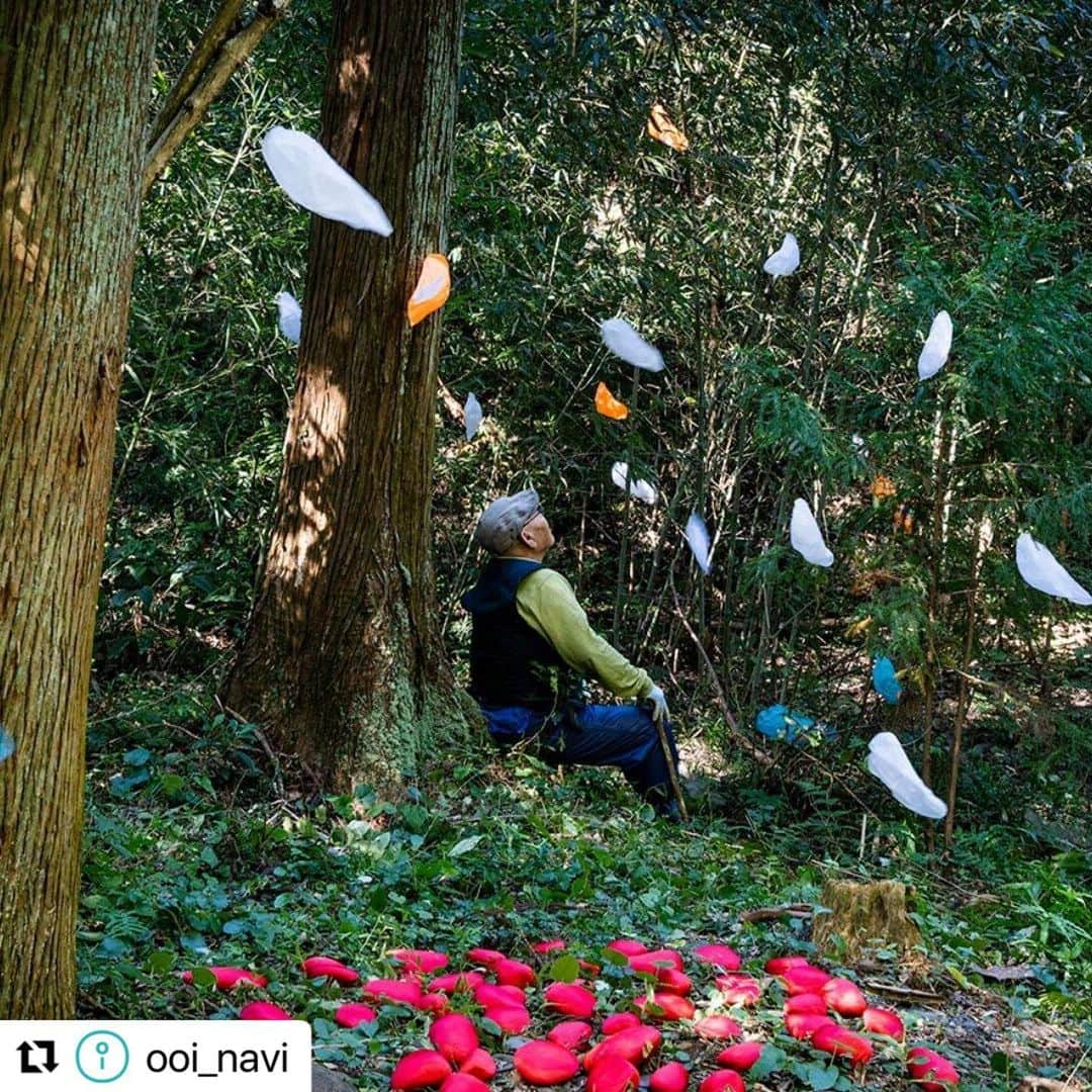 島田市のインスタグラム：「#Repost @ooi_navi with @use.repost ・・・ 【「無人駅の芸術祭」で光る大井川流域の忘れかけていた景色や人々の繋がり】  2023年で6回目の開催となる「UNMANNED 無人駅の芸術祭」🎨🖼️🚉  静岡県島田市から川根本町を結ぶ「大井川鐵道(てつどう)」の無人駅およびその周辺エリアを舞台に開催される芸術祭🗻🚂✨  アートを通じて地域の魅力や課題を可視化するとともに、住民やアーティスト、サポーター、お客さんの交わりが一体となってはじめて完成される同イベント😍👍  イベントの見所や楽しみ方を紹介するほか、主催者やアーティストをはじめ、芸術祭を影で支える方々の思いに迫りました😊  ＼＼詳細はストーリーズ（または「観光特集」ハイライト）のリンクから♪／／  #静岡県島田市 #島田市 #大井川鐵道 #芸術祭 #芸術 #アート #旅する大井川 #静岡観光 #静岡旅行 #島田観光 #島田旅行 #上野雄次」