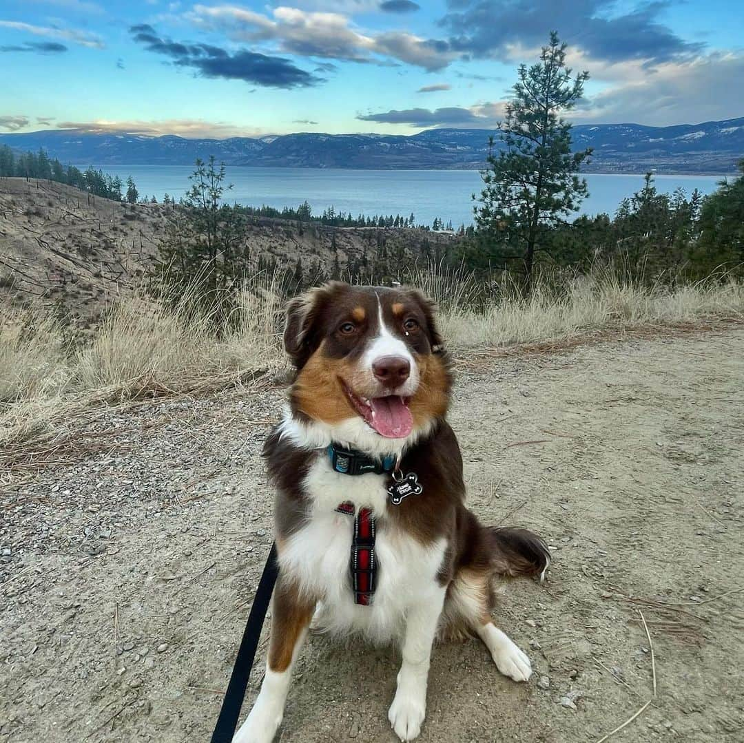 キエラ・スミスのインスタグラム：「hiking with my tiny bestie 🥹」