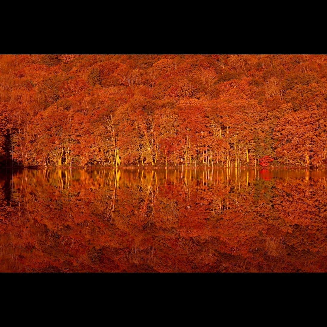 日本の国立公園さんのインスタグラム写真 - (日本の国立公園Instagram)「The Winning Entries of the National Parks of Japan Photo Contest 📸  Last year, the Ministry of the Environment, in collaboration with the Tokyo Camera Club, organized a photo contest focusing on the national parks. The contest’s theme was "Encountering Stories. Japan's National Parks." We received many photos that beautifully captured this theme. Today, we’re introducing the three photos selected for the Grand Prize, Excellence Prize, and Special Prize.  🏆 Grand Prize "Shinpi no Asa" (Mysterious morning) Masashi Shirabyoshi Instagram: @masashishirabyoshi Towada-Hachimantai National Park To preserve the spectacular natural environment of Tsutanuma for future generations, a reservation system has been introduced to ease congestion during the busy autumn foliage period. As well, an initiative has begun to collect a voluntary fee to be used for environmental protection.  🏆Excellence Prize "Yukyu no Daichi ni Idakarete" (Embraced by the everlasting earth) Jin Ishibashi Instagram: @bunchum2004 Aso-Kuju National Park The park is home to the largest remaining grassland in Japan. Kusasenri, pictured, is a unique area where visitors can freely enter the grassland.  🏆 Special Prize "2011 Daishinsai-go no Hatsu Shussen" (First launch after the Great East Japan Earthquake) Naoaki Konishi Instagram: @xiaoxizhizhao Sanriku Fukko (reconstruction) National Park This photo captures a scene during the hikifune (boat launch) event at a festival in Otsuchi, Iwate Prefecture. The festival, held eight years after the earthquake, was the first since the disaster and was held to pray for a big catch and the safety of the fishing industry. The local people watching over the boats in the rain made for a memorable scene.  We hope that these photos give you a sense of the variety of stories that you'll find in the National Parks of Japan. 😄  #NationalParks #NationalParksOfJapan #AsoKujuNationalPark #SanrikuFukkoNationalPark #TowadaHachimantaiNationalPark #Aomori #Kumamoto #Kyushu #Iwate #Tohoku #Reconstruction #PhotoContest #JapanTrip #VisitJapan #ExploreJapan #DiscoverJapan #JapanTravel #JapaneseCulture #JapanPhotoContest #TokyoCameraClub #BeautifulJapan #NaturePhotography」3月16日 10時33分 - nationalpark_japan