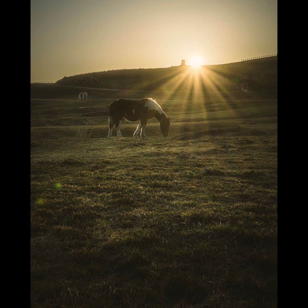 日本の国立公園さんのインスタグラム写真 - (日本の国立公園Instagram)「The Winning Entries of the National Parks of Japan Photo Contest 📸  Last year, the Ministry of the Environment, in collaboration with the Tokyo Camera Club, organized a photo contest focusing on the national parks. The contest’s theme was "Encountering Stories. Japan's National Parks." We received many photos that beautifully captured this theme. Today, we’re introducing the three photos selected for the Grand Prize, Excellence Prize, and Special Prize.  🏆 Grand Prize "Shinpi no Asa" (Mysterious morning) Masashi Shirabyoshi Instagram: @masashishirabyoshi Towada-Hachimantai National Park To preserve the spectacular natural environment of Tsutanuma for future generations, a reservation system has been introduced to ease congestion during the busy autumn foliage period. As well, an initiative has begun to collect a voluntary fee to be used for environmental protection.  🏆Excellence Prize "Yukyu no Daichi ni Idakarete" (Embraced by the everlasting earth) Jin Ishibashi Instagram: @bunchum2004 Aso-Kuju National Park The park is home to the largest remaining grassland in Japan. Kusasenri, pictured, is a unique area where visitors can freely enter the grassland.  🏆 Special Prize "2011 Daishinsai-go no Hatsu Shussen" (First launch after the Great East Japan Earthquake) Naoaki Konishi Instagram: @xiaoxizhizhao Sanriku Fukko (reconstruction) National Park This photo captures a scene during the hikifune (boat launch) event at a festival in Otsuchi, Iwate Prefecture. The festival, held eight years after the earthquake, was the first since the disaster and was held to pray for a big catch and the safety of the fishing industry. The local people watching over the boats in the rain made for a memorable scene.  We hope that these photos give you a sense of the variety of stories that you'll find in the National Parks of Japan. 😄  #NationalParks #NationalParksOfJapan #AsoKujuNationalPark #SanrikuFukkoNationalPark #TowadaHachimantaiNationalPark #Aomori #Kumamoto #Kyushu #Iwate #Tohoku #Reconstruction #PhotoContest #JapanTrip #VisitJapan #ExploreJapan #DiscoverJapan #JapanTravel #JapaneseCulture #JapanPhotoContest #TokyoCameraClub #BeautifulJapan #NaturePhotography」3月16日 10時33分 - nationalpark_japan