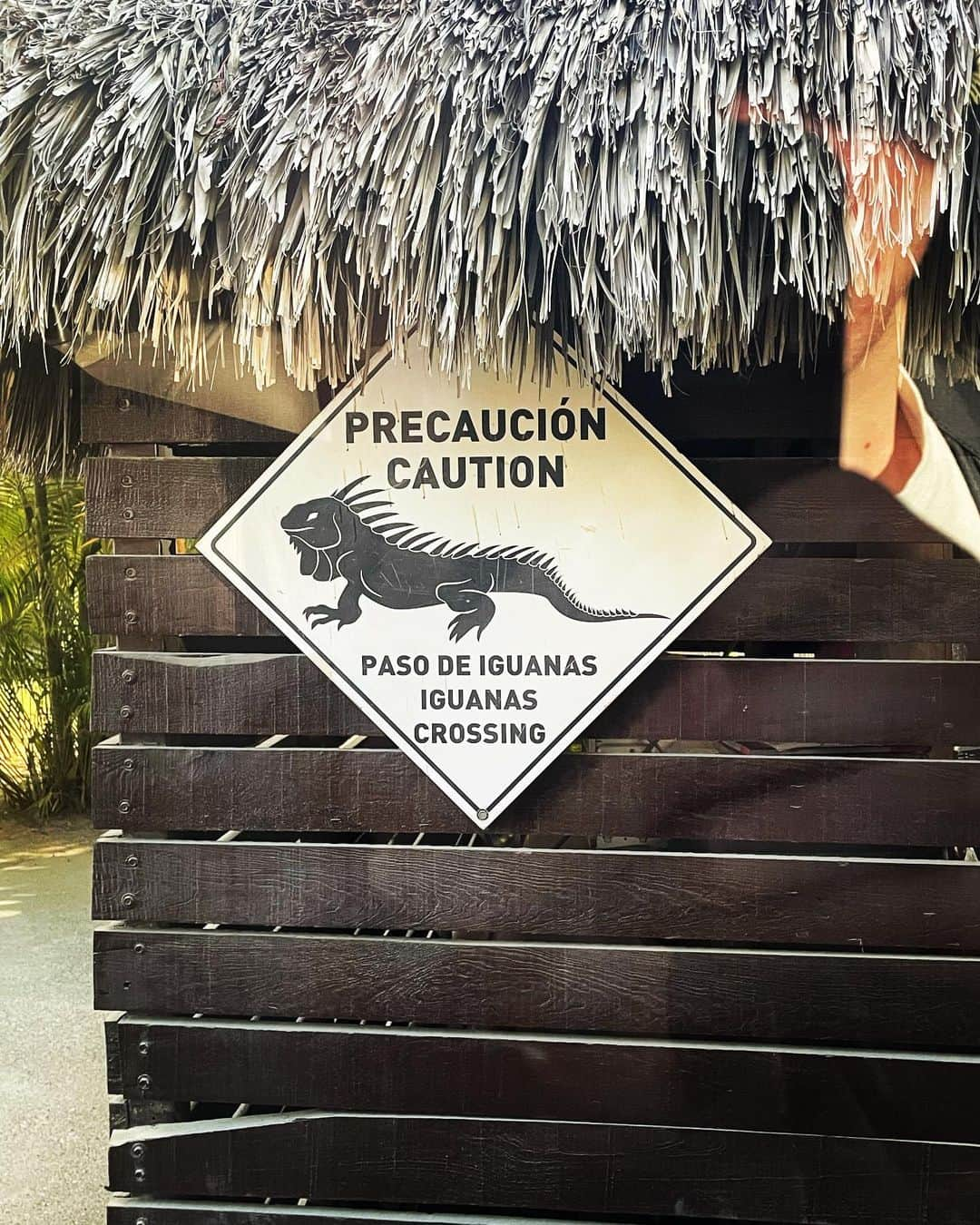 デブラ・メッシングさんのインスタグラム写真 - (デブラ・メッシングInstagram)「A glorious getaway with my son. The Mexican jungle. Fishing, orca sightings, a bathing suit robbery, tequila tastings, a scary snake in the tequila and more to come. I’m so so grateful for this time with my boy enveloped in nature.  We’re at the magnificent #oneandonlymandarina staying in a treehouse. Unforgettable. ❤️  #momandson #mexico #jungle #whalewatching #fishing #treehouse #ziplining #tequilatasting @oomandarina」3月16日 11時49分 - therealdebramessing