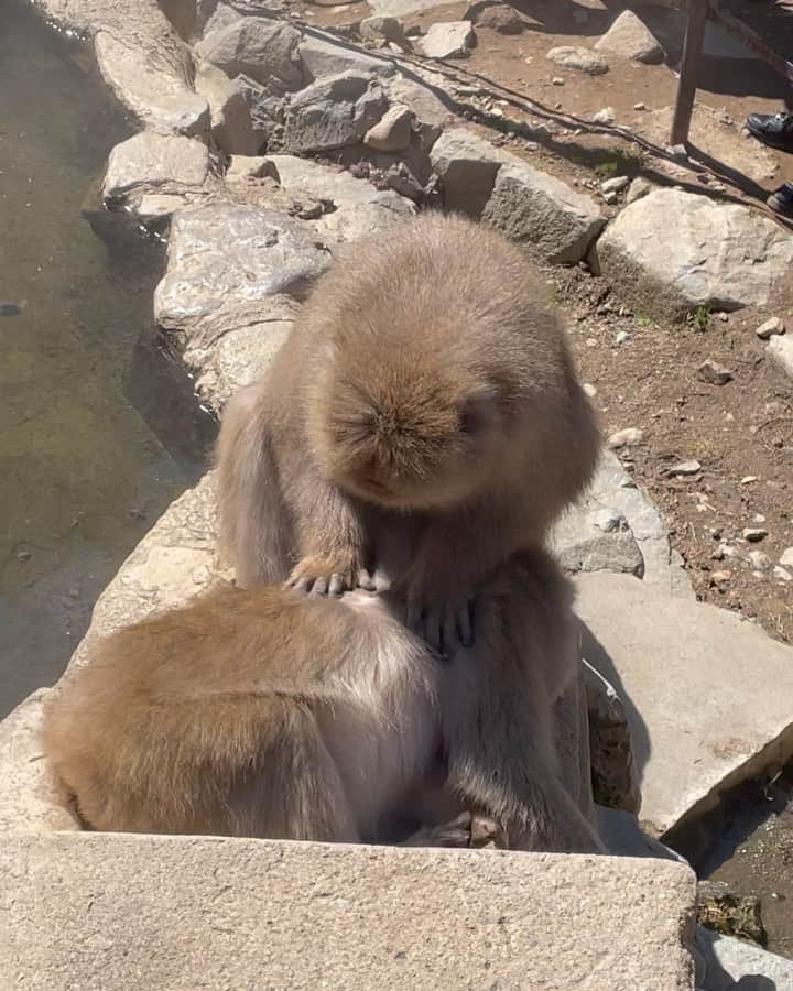 鮎川りなのインスタグラム