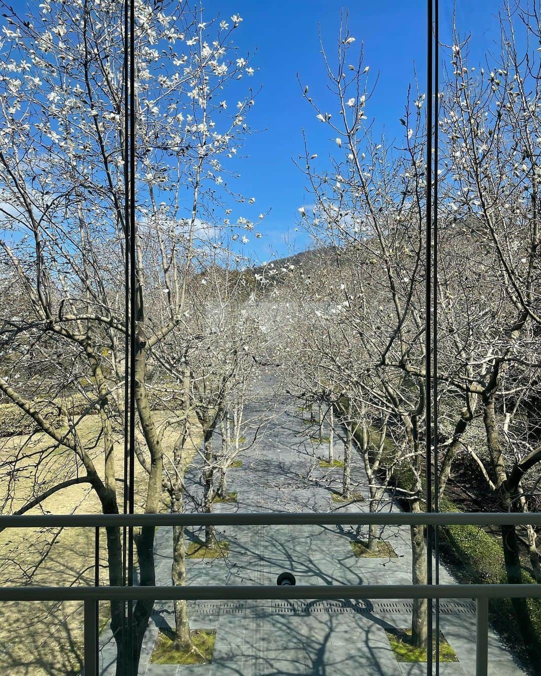 鈴木愛さんのインスタグラム写真 - (鈴木愛Instagram)「warm sunlight 🪺」3月16日 17時47分 - ai_suzuki