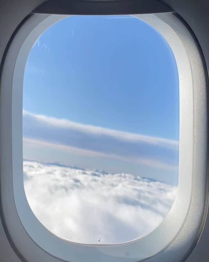 鈴木愛のインスタグラム：「warm sunlight 🪺」