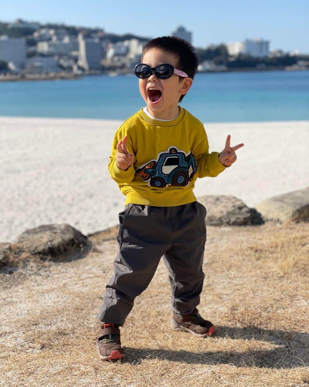 田中明日菜のインスタグラム：「. Happy Birthday RIKU🥰 陸もすっかりお兄ちゃん👦 4歳おめでとう🥳🎂㊗️🎉 岳もスクスク成長中👶 これからも兄弟仲良く健やかに🫶 甥っ子バカより🐸」