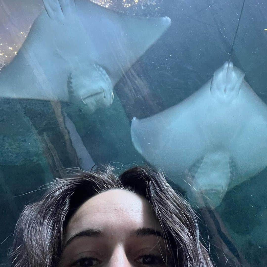 ビー・ミラーのインスタグラム：「this is me at the aquarium ps jealous of my friends drops TONIGHT pre-save link in my bio 🤭😮‍💨😩🤌🏻」