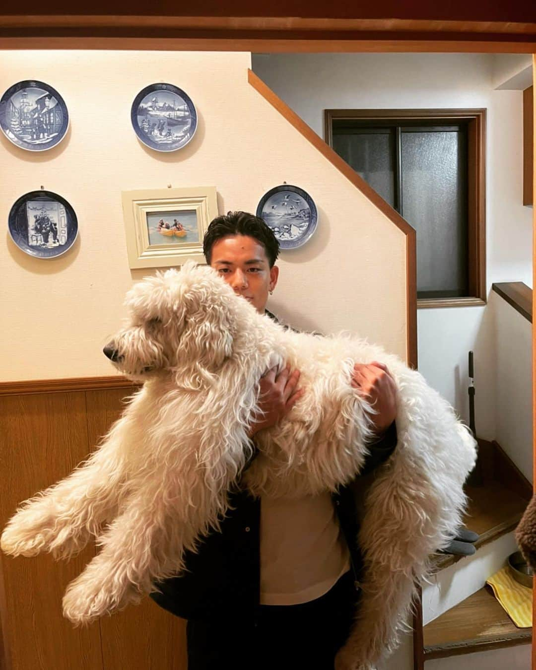 たくさんのインスタグラム写真 - (たくInstagram)「実家の愛犬とパシャリ  #たんたん #ゴールデンドゥードル」3月16日 17時59分 - taku_ba777