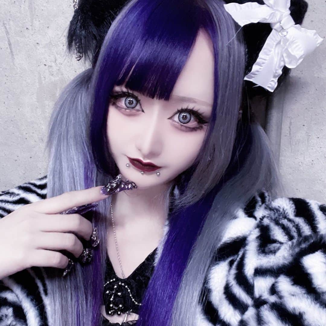 あんりゴンのインスタグラム：「何猫派？」