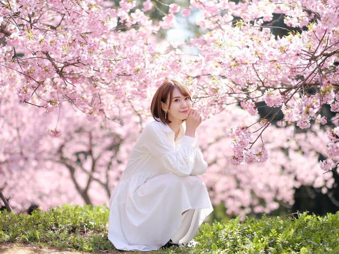 安藤まいさんのインスタグラム写真 - (安藤まいInstagram)「河津桜はピンクが濃くて大好きになりました🫶  満開🌸  #静豊園#河津桜#静豊園の河津桜  #ポートレート#桜ポトレ#春 #福岡観光#ポートレート撮影 #ポートレートしま専科#ポートレートモデル#ポートレート好きな人と繋がりたい #エモい写真が撮りたくて#エモい写真 #日本の風景#日本の景色#キリトリセカイ #春#春色#桜ポートレート」3月16日 18時27分 - mai_ando0407