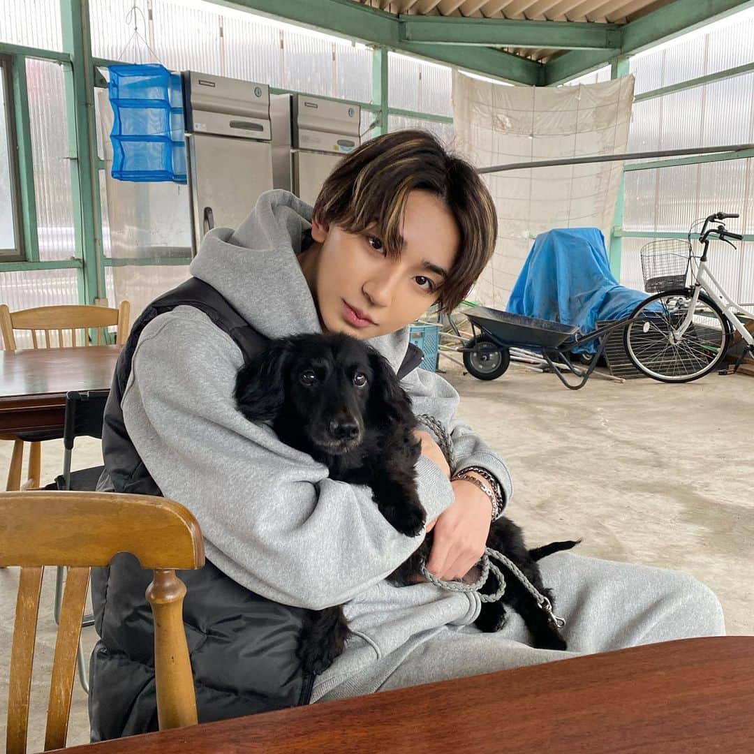 上野裕次郎のインスタグラム：「Super cute buddy!!!!!🐶❤️‍🔥 ちょーかわいいあいぼう(⁎⁍̴̆Ɛ⁍̴̆⁎)」