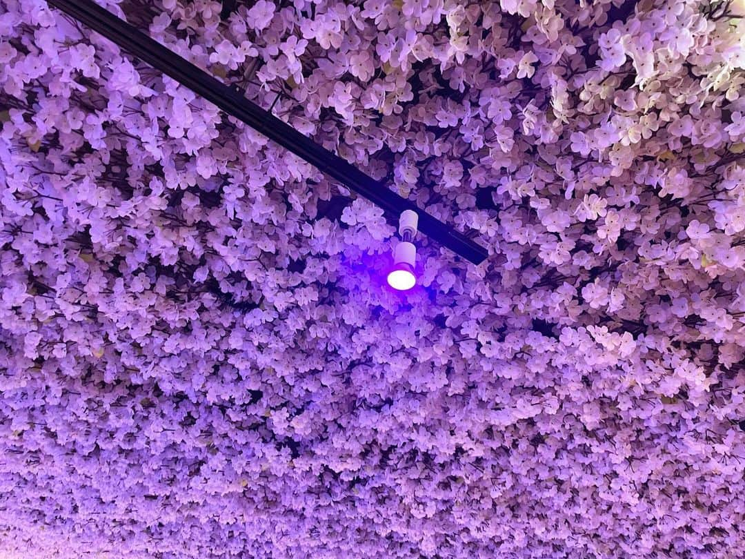 ウーデンジェニファー里沙のインスタグラム：「* 天井が桜の花びらでいっぱいになっている店内🌸🌸  『そのへんのアジア』で道頓堀にある ２４時間営業の韓国料理店にお邪魔しました！  ボリュームたっぷりのこちらのプレート。 どこか見覚えはありませんか…？ YouTubeを頻繁にご覧になる方であれば分かるかも！  ぜひ『そのへんのアジア』で答え合わせを😌 부디 보십시오🫰🏻  #テレビ大阪 #そのへんのアジア #먹방 #먹방스타그램 #오사카 #大阪 #道頓堀 #モッパン #アナウンサー #아나운서 #ウーデンジェニファー里沙」