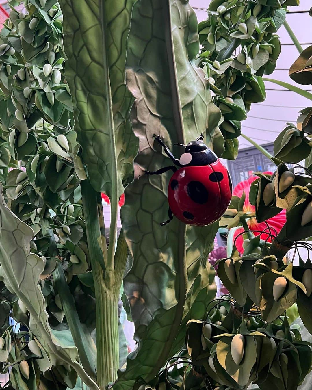 上田昌幸さんのインスタグラム写真 - (上田昌幸Instagram)「ジブリパークその②  借りぐらしのアリエッティ🐞  #愛知 #ジブリパーク #ジブリ大倉庫 #借りぐらしのアリエッティ #このエリアは全てがデカい😳 #まさに作品の中に入れちゃった #その日ぐらしのウエッティ #トイレ行きたい」3月16日 19時52分 - uechan.uechan.uechan