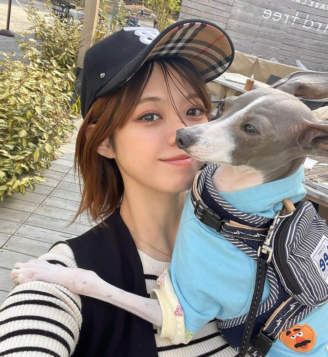 武井玲奈さんのインスタグラム写真 - (武井玲奈Instagram)「犬の十戒というのをみて 人間には楽しみがたくさんあるけど ティートには私だけ。  私次第で、寂しくも楽しくもなる。  人間よりも寿命が短いワンちゃん。  ティートが幸せで楽しいと 思ってもらえる人生であるために  いーーっぱい話しして たーーーくさん思い出作って いろーーーんなところに行こうね💗  ┈┈┈┈┈┈┈┈┈┈  1.私の一生はだいたい10年から15年です。あなたと離れるのが一番つらいことです。どうか、私と暮らす前にそのことを覚えておいて欲しいのです。  2.あなたが私に何を求めているのか、私がそれを理解するまで待って欲しいのです。  3.私を信頼して欲しい、それが私にとってあなたと共に生活できる幸せなのですから。  4.私を長い間叱ったり、罰として閉じ込めたりしないで下さい。あなたには他にやる事があって、楽しみがあって、友達もいるかもしれない。でも、私にはあなたしかいないのです。  5.時々話しかけて欲しい。言葉は分からなくても、あなたの心は十分私に届いています。  6.あなたがどのように私を扱ったか、私はそれを決して忘れません。  7.私を殴ったり、いじめたりする前に覚えておいて欲しいのです。私は鋭い歯であなたを傷つけることができるにもかかわらず、あなたを傷つけないと決めているのです。  8.私が言うことを聞かないだとか、頑固だとか、怠けているからといって叱る前に、私が何かで苦しんでいないか気づいて下さい。もしかしたら、食事に問題があるかもしれないし、長い間日に照らされているかもしれない。それとも、もう体が老いて、弱ってきているのかもしれません。  9.私が年を取っても、私の世話はして下さい。あなたもまた同じように年を取るのですから。  10.最後のその時まで一緒に側にいて欲しいのです。このようなことは言わないで下さい、｢もう見てはいられない。｣、｢居たたまれない。｣などと。あなたが側にいてくれるから最後の日も安らかに逝けるのですから。忘れないで下さい、私は生涯あなたを一番愛しているのです。  ┈┈┈┈┈┈┈┈┈┈  #イタリアングレーハウンド #イタグレ #イタリアングレイハウンド #italiangreyhound  #イタグレとの暮らし #犬の十戒 #犬の気持ち #イタグレのいる暮らし  #イタグレ好きな人と繋がりたい」3月16日 19時55分 - takeirena