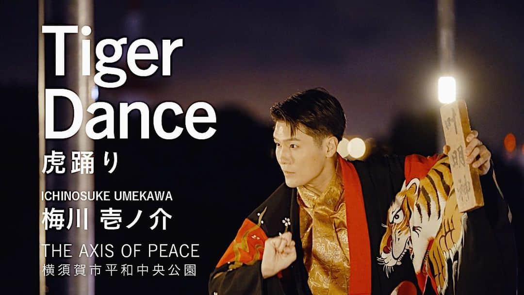 梅川壱ノ介（舞踊家）のインスタグラム：「《虎踊り》-Tiger Dance- ￣￣￣￣￣￣￣￣￣￣￣￣￣￣￣￣￣￣￣￣￣￣￣ 皆さま、こんばんは。  昨年、横須賀市にございます、無人島・猿島を舞台にした芸術祭「Ｓｅｎｓｅ　Ｉｓｌａｎｄ（センスアイランド）」の企画として、神奈川県の指定無形民俗文化財登録の【虎踊り】をモチーフにしたパフォーマンスがご披露させていただきました。  　江戸中期から浦賀に伝わる民俗芸能を独自の解釈と現代流アレンジを加え、本来であれば、大虎・子虎、虎を退治する主人公の和藤内、女児が笛や太鼓の音に合わせて踊る十数人の唐子が登場する舞台を歌舞伎の早着替えなどを取り入れた七変化のスタイルで作品を作りました。  　鑑賞に来てくださいました、「浦賀虎踊り保存会」の高畑昌弘会長さまより、「３００年の伝統と現代的要素を見事に融合させたモダンなセンスに感服した。我々は昔のままを伝承していく活動だが、パフォーマンスとしての新しい『虎踊り』を楽しむことができた。ひとり芝居としての完成度も高い」とお言葉をいただき、本当に嬉しかったです！  素晴らしい機会をいただき、本当に本当にありがとうございました。  本日より、その《虎踊り》の映像を公開させていただきます。ぜひ、ご覧ください🤲  応援のほど、宜しくお願い申し上げます。  こちら⬇️ https://youtu.be/dwlfKU07C1Q  #梅川壱ノ介 #舞踊家 #虎踊り #横須賀市 #センスアイランド #猿島 #拡散希望 #日本舞踊 #ClassicJapanesedance #traditionaljapanesedance」