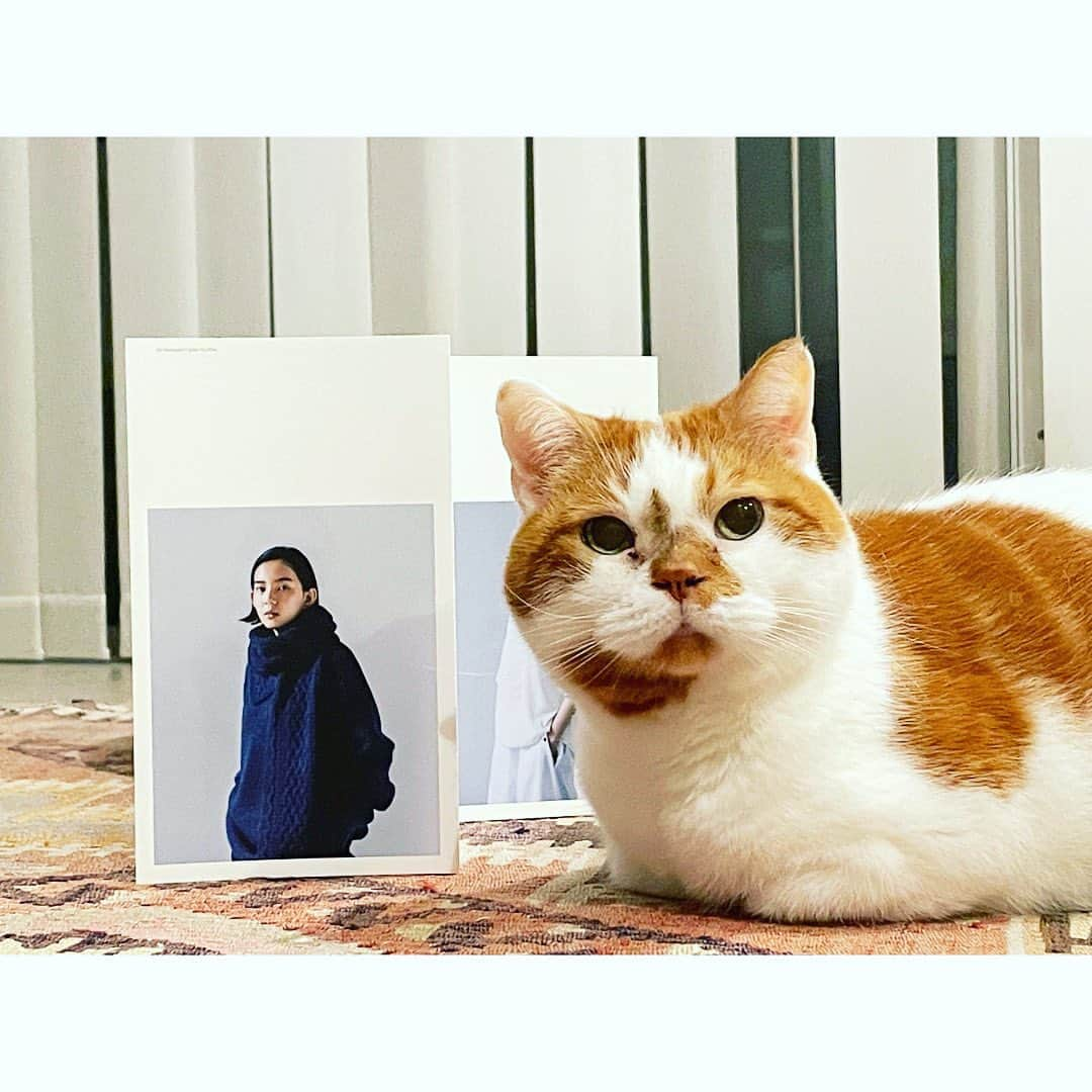 ミツバ&フックさんのインスタグラム写真 - (ミツバ&フックInstagram)「. . \\ 猫の手を借りてお知らせです //  🐈TORICI 2023AW オーダー会  🐈2023.3.20(月)-3.21(火/祝) 12:00~18:00　  🐈 @laiton_tokyo  東京都世田谷区代田5-8-1 小田急線「世田谷代田駅」徒歩2分  猫もよろこぶ🐈柔らかくて心地の良い人間用セーターのオーダー会です。温かい紅茶をご用意してお待ちしています🧶  @torici__   #どんこはいません #猫グッズはないです」3月16日 20時08分 - umelon_instagram