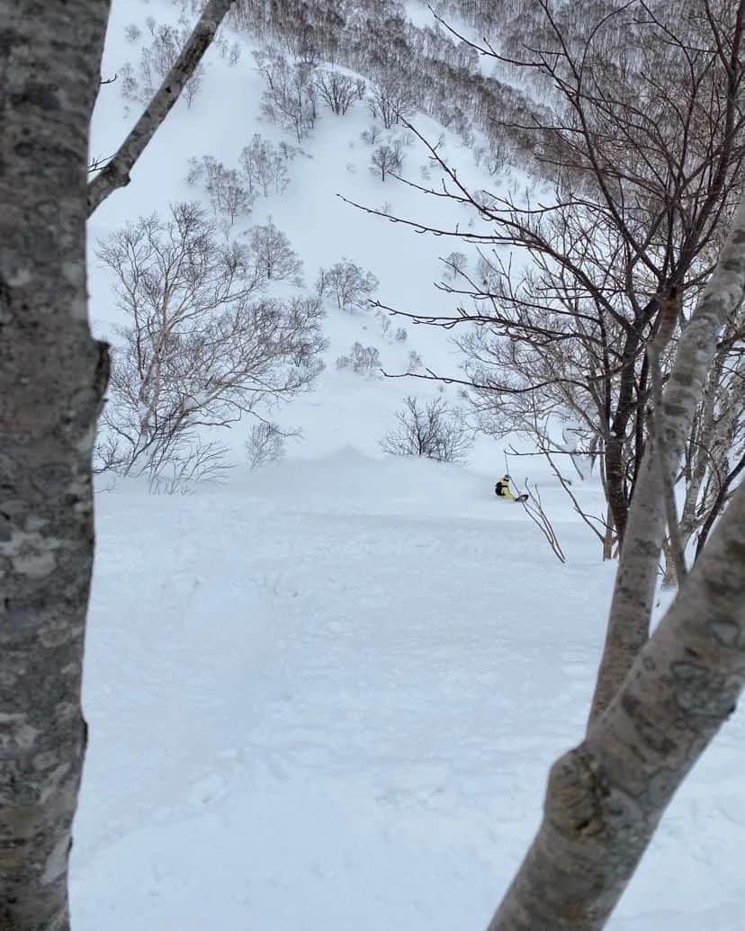 藤森由香さんのインスタグラム写真 - (藤森由香Instagram)「アースホッパーパス@earthhopperpass でニセコもいわスキー場でスノーボード🏂🏾 ヨーロッパから日本に滑りに来ていた友達と合流して贅沢な北海道のパウダーを楽しんできました。最近は暖かくなってきてバフバフのパウダーが恋しい😌 #earthhopper #earthhopperpass #niseko #nisekomoiwa #japow #ニセコモイワ #北海道 #アースホッパー #アースホッパーsnow」3月16日 20時27分 - yukafujiforest
