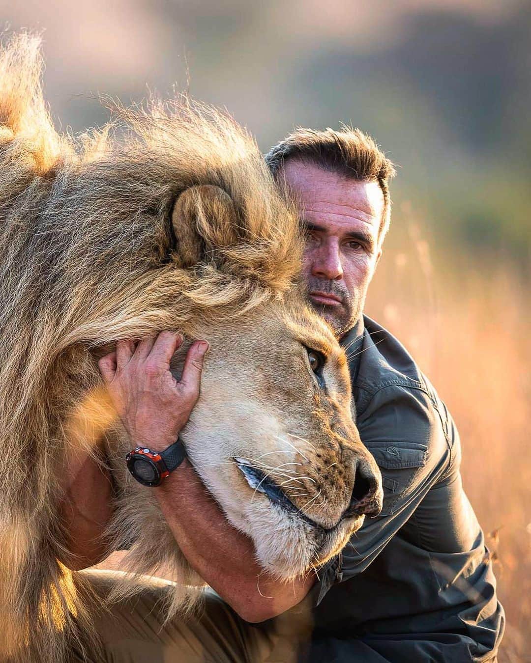 Kevin Richardson LionWhisperer さんのインスタグラム写真 - (Kevin Richardson LionWhisperer Instagram)「Happy 14th birthday Vayetse! 🎂🎉🥳🎈🎊. There’s been a few health scares of late but I’m happy to report, nothing sinister has been found so far. Perhaps we’re just getting old!  I thoroughly enjoyed the 2 hour walk we did today and I know you did too! You’re a special, well liked lion, with many adoring followers. We hope to be part of your life for many more years to come! 🤗 ❤️  #vayetse #lionlove #interspeciesfriendship #interspeciescommunication」3月16日 20時28分 - lionwhisperersa