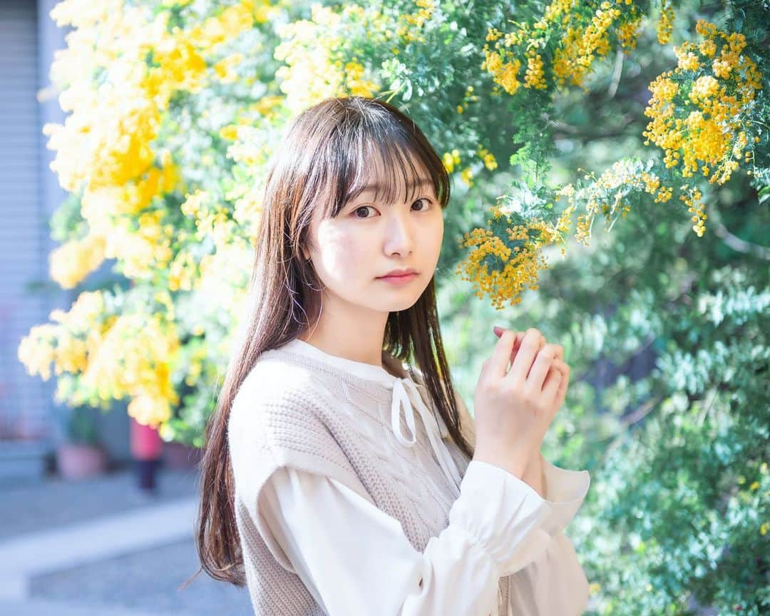 川合菖蒲さんのインスタグラム写真 - (川合菖蒲Instagram)「・ ＊ •*¨*•.¸¸♬︎  ミモザ!!  #川合菖蒲  #中学生3年生 #ミモザ  #portrait  #ポートレート撮影  #スペースクラフト #月刊8月のクリスマス  #light_nikon  #tokyocameraclub #ポトレ撮影隊 #ig_phos  #daily_photo_jpn  #photo_life_best  #jp_portrait部 #bestjapanpics  #great_myshotz #todays_blue_collection  #bestphoto_japan  #jp_mood #art_of_japan_  #team_jp_ #私の瞳がきらめいた瞬間」3月16日 20時46分 - ayamemechi