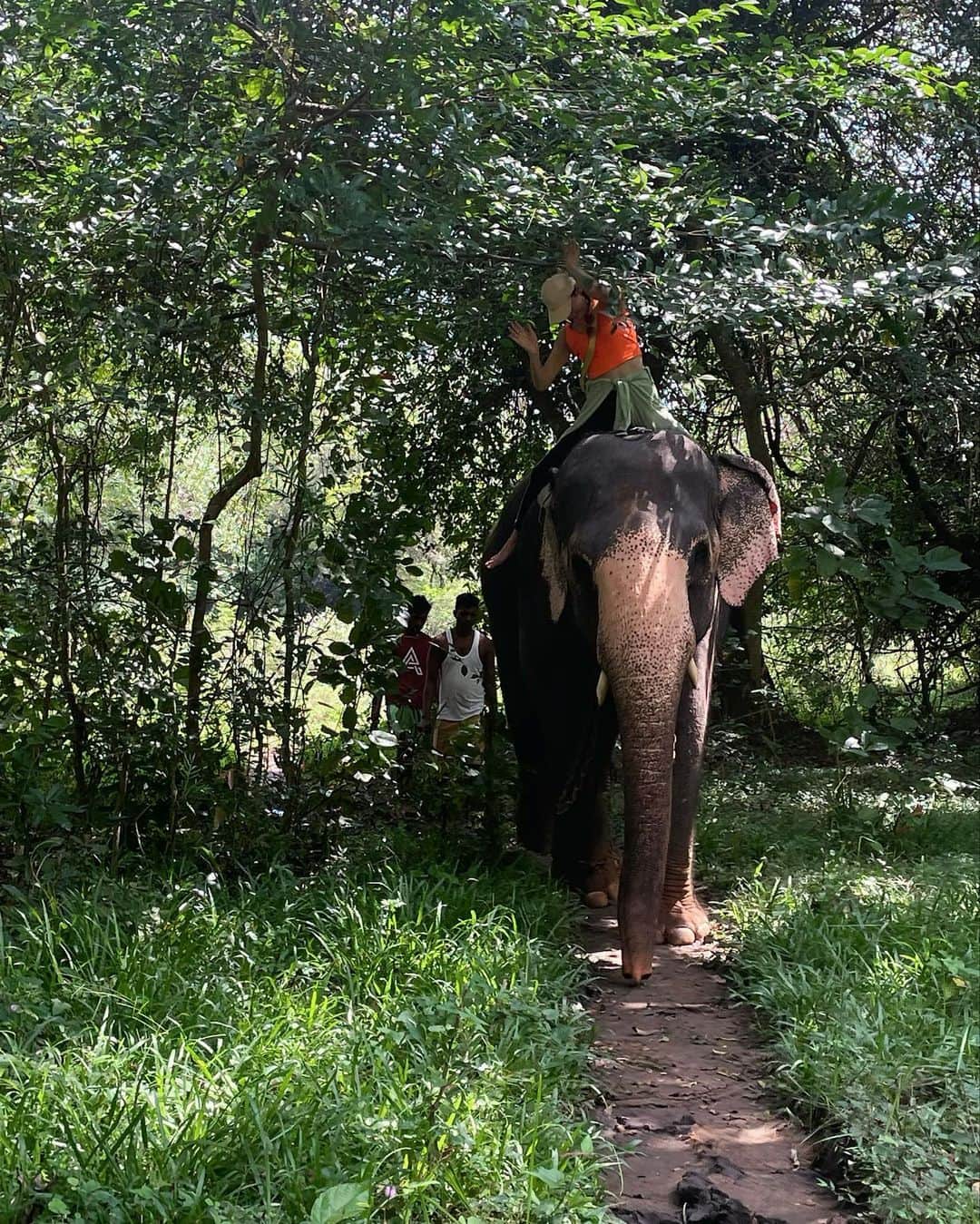 内田美麗（麗奈ゆう）さんのインスタグラム写真 - (内田美麗（麗奈ゆう）Instagram)「シギリヤロックを登った後は象に乗ったよ🦣  象のお名前はシータ🦣 とっても可愛いかった❣️❣️  森の中を少しだけお散歩するのだけど、木に直撃笑 そんなのお構いなしにシータは突き進みます🤞🦣  最後は池で水浴び！！  周りに水掛けるかと思いきや 私を狙って水ぶっ掛けてきてくれました笑  びしょ濡れのままホテルに戻りました笑  全身濡れたし、池の水も茶色だったけどメ◯ン川やガン◯ス川の成分は入ってないであろうから問題無し🤞なんでも挑戦🤞🇱🇰✨✨✨  自然に沢山触れて本当に最高だった！！！  #スリランカ#srilanka#一人旅#一人旅女子 #一人旅行#海外旅行#海外一人#シギリヤ#sigiriya #sigiriyarock #spa##आयुर्वेद#ශ්රීලංකාව #シギリヤロック#sigiriyarock #සීගිරිපර්වතය#elephant」3月16日 20時54分 - miretan29