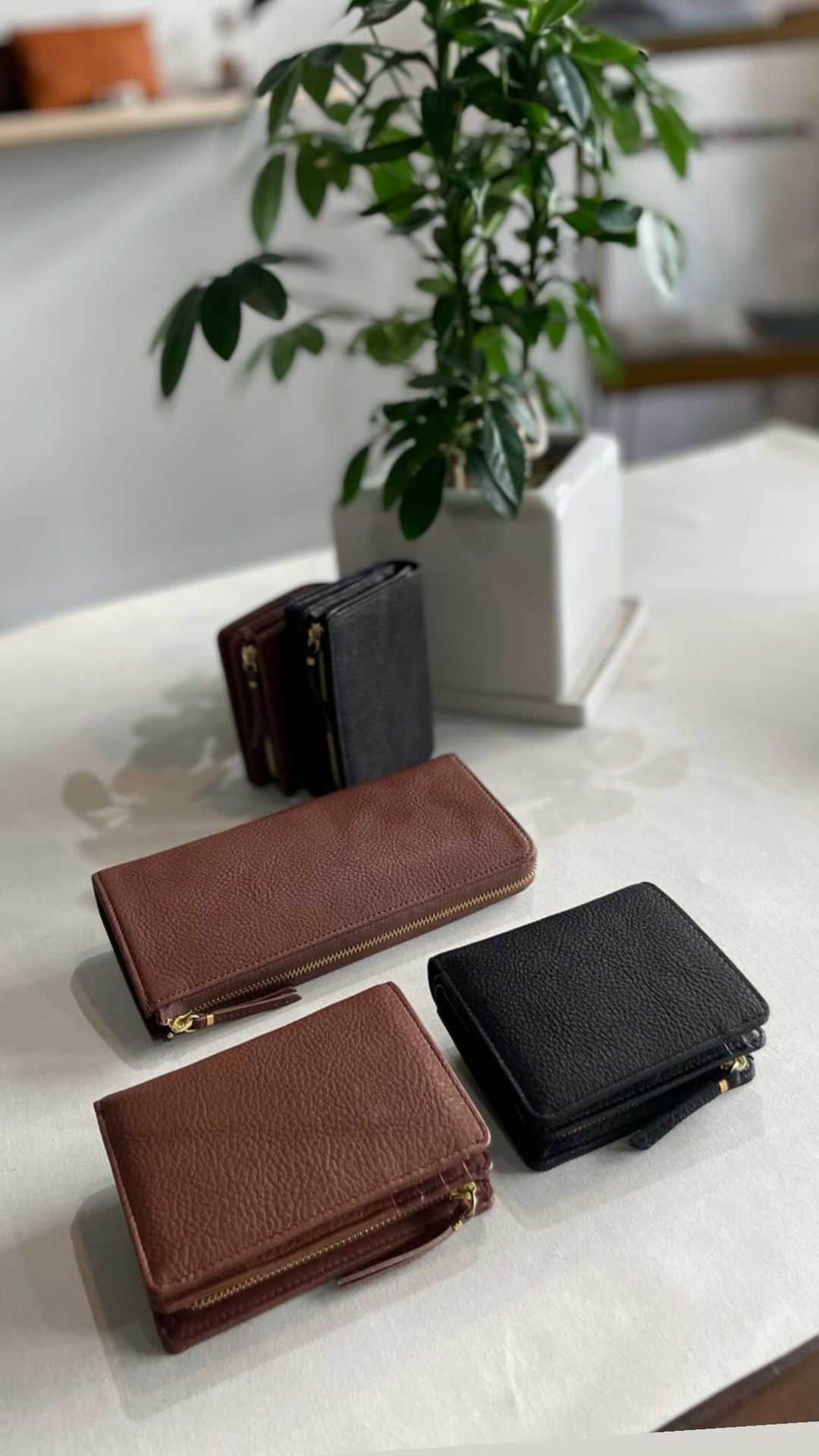スロウのインスタグラム：「【STAFF LIVE】FINO NEW WALLET ・GRAND FRONT OSAKA 5倍point dayのオススメ品のご紹介  グランフロント大阪にて3/17から3/21までの5日間、対象 point cardをご使用にてお買い物頂いたお客様に、通常の5倍分pointが進呈されるお得なキャンペーンが開催されます。  この間に是非お買い物をお楽しみ下さいませ。  #wallet#leatherwallet  #tochigileather #栃木レザー  #グランフロント大阪 #大阪  #レザーウォレット」