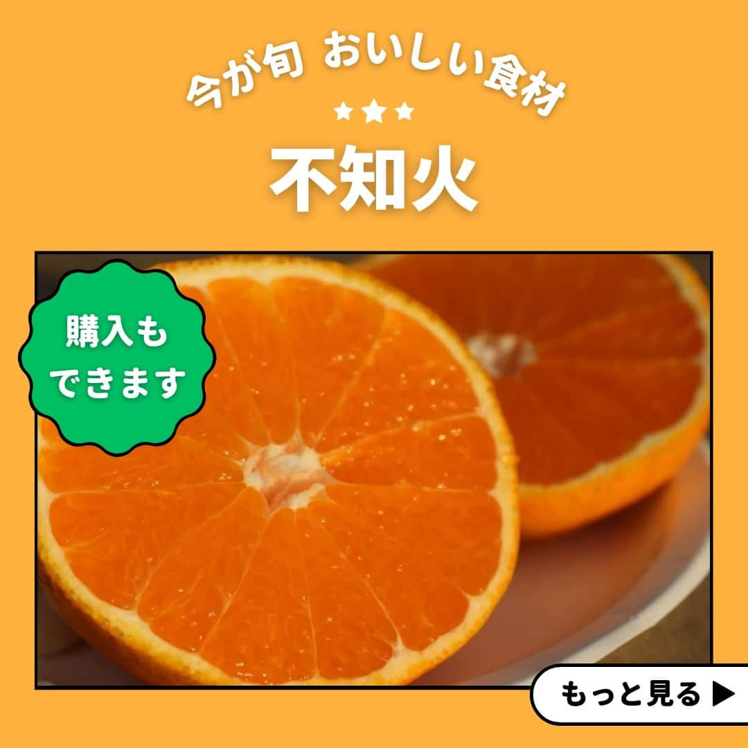 ポケットマルシェ(ポケマル) のインスタグラム：「３月 オススメ食材【不知火】🍊 ………………………… . #不知火 が美味し〜く食べられる季節がやってきました！ 柑橘類が好きな人の中でも人気の品種です♥️ . ✨味が濃厚 ✨訳アリだけど量たっぷり ✨サイズばらばらだけど美味しい ✨贈答品 など色んなニーズに合わせて沢山出品されているのでご紹介いたします💁‍♀️ . そして、 不知火がお好きにの方におすすめしたいのが . ＼お試し 王道フルーツ定期便／ 王道👑フルーツが、お試ししやすい価格＆量で毎月届く定期便です。 . なんと４月のお届けは「不知火＆生産者おまかせ柑橘セット」です。 不知火以外にも生産者さんがオススメする、美味しい柑橘類が一緒にご自宅に届きます😋 ………………………… . 今回ご紹介した以外にも、ポケマルでは多く不知火を販売されている生産者さんがいらっしゃいます😊 . ポケマル公式アカウントのリンクよりポケマルwebサイトにアクセスしていただき「不知火」と検索すると、そのとき購入できる生産者さんが表示されますので 気になる方は公式サイトを覗いてくださいね✨ . ………………………… . 産直EC「ポケマル」では 📌産地直送の食材を紹介 📌生産者さんの紹介 📌ポケマルのキャンペーン を日々投稿しています！ . 投稿が気になったらフォローお願いします👉 @pocket.marche . ﹋﹋﹋﹋﹋﹋﹋﹋﹋﹋﹋﹋ . #ポケットマルシェ #ポケマル #通販グルメ #お取り寄せギフト #pocketmarche #漁師直送 #産地直送 #生産者応援 #不知火 #しらぬい #しらぬい🍊 #フルーツ #柑橘 #柑橘系 #柑橘類 #柑橘好き #柑橘農家 #柑橘系大好き #柑橘系の香り #サブスク」