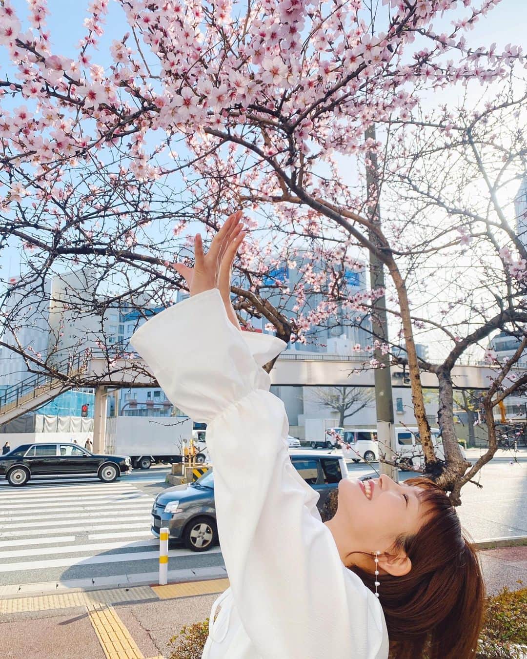 内村麻美さんのインスタグラム写真 - (内村麻美Instagram)「. KBCの公開空地に開花した アーモンドの花が、とても綺麗です🌸 . #アーモンドの花 #ソメイヨシノよりひと回り大きい花 #実はバラ科 #福岡の桜もあと少しだね #🌸🌸🌸」3月16日 21時14分 - asami___05
