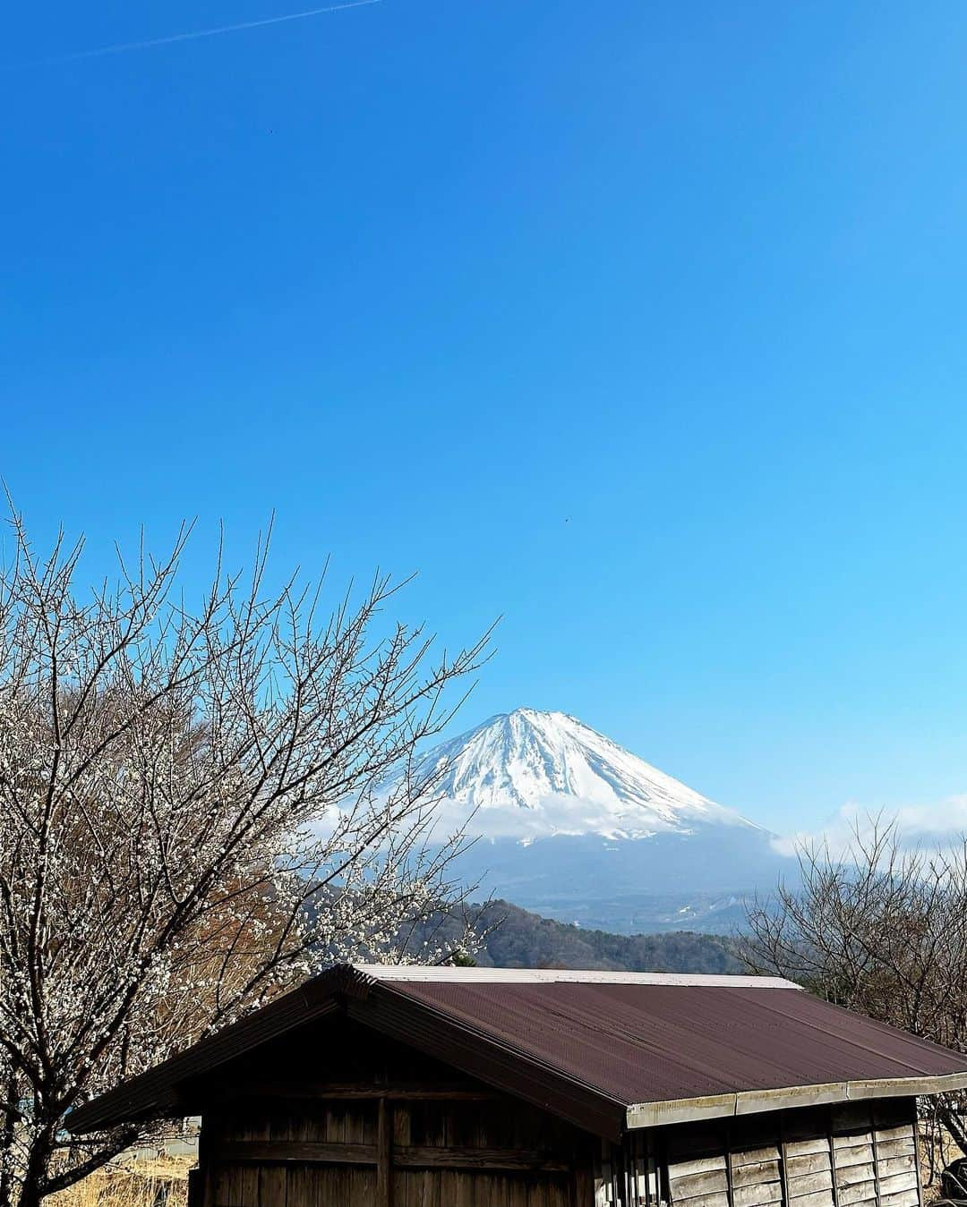 レスレイ・チアンさんのインスタグラム写真 - (レスレイ・チアンInstagram)「I love Mount Fuji. Can you tell I love Mount Fuji? Coz I love Mount Fuji 🤍🗻🇯🇵  #phantomhand #myrighthandwascold #insidemyuniqlo #lol #peaktouristmoment #japan #mountfuji #kawaguchiko #pose #富士山 #河口湖」3月16日 21時46分 - lesleychianglove