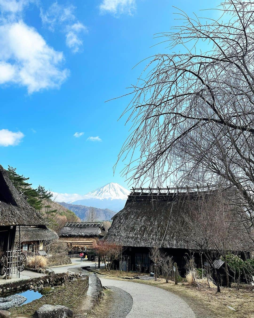 レスレイ・チアンさんのインスタグラム写真 - (レスレイ・チアンInstagram)「I love Mount Fuji. Can you tell I love Mount Fuji? Coz I love Mount Fuji 🤍🗻🇯🇵  #phantomhand #myrighthandwascold #insidemyuniqlo #lol #peaktouristmoment #japan #mountfuji #kawaguchiko #pose #富士山 #河口湖」3月16日 21時46分 - lesleychianglove